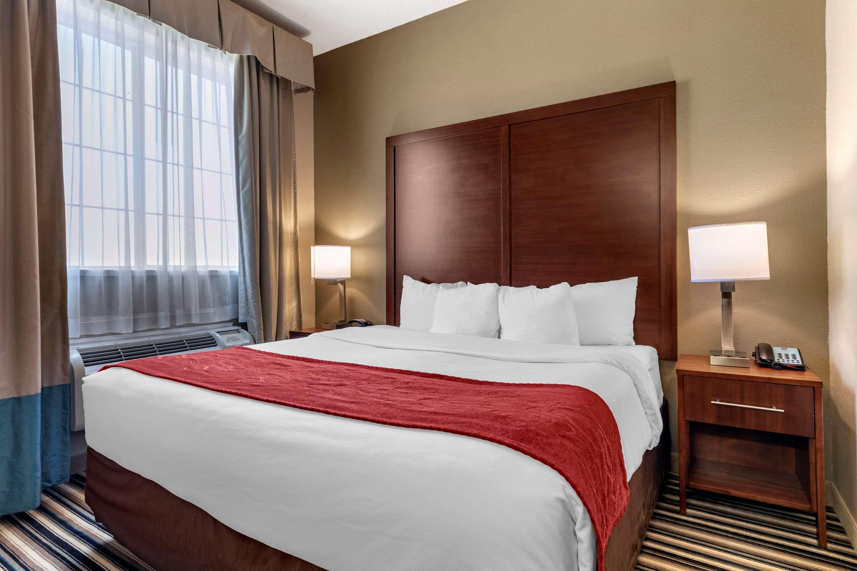 Suite King Bed Non Smoking