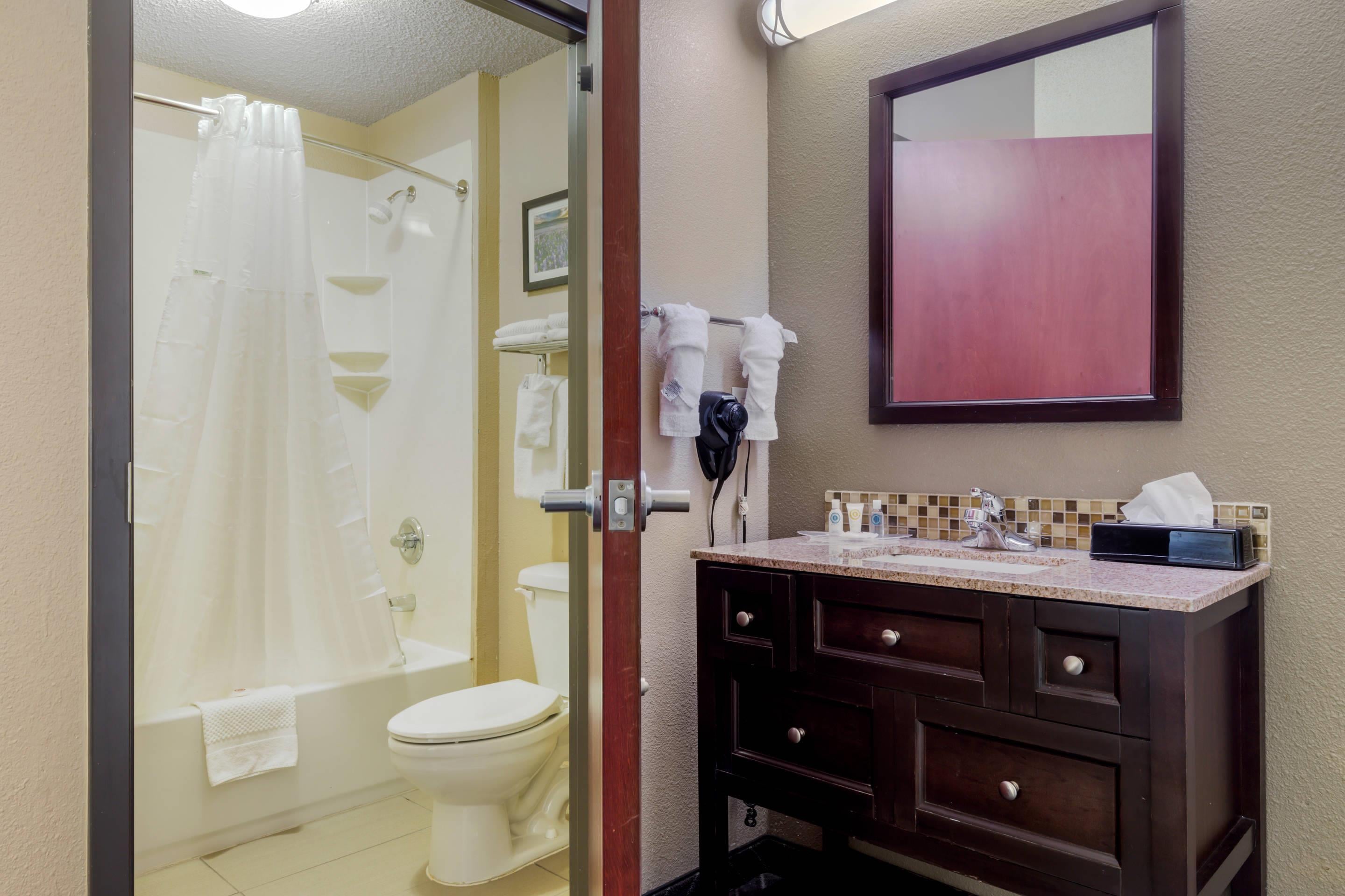 Suite King Bed Non Smoking