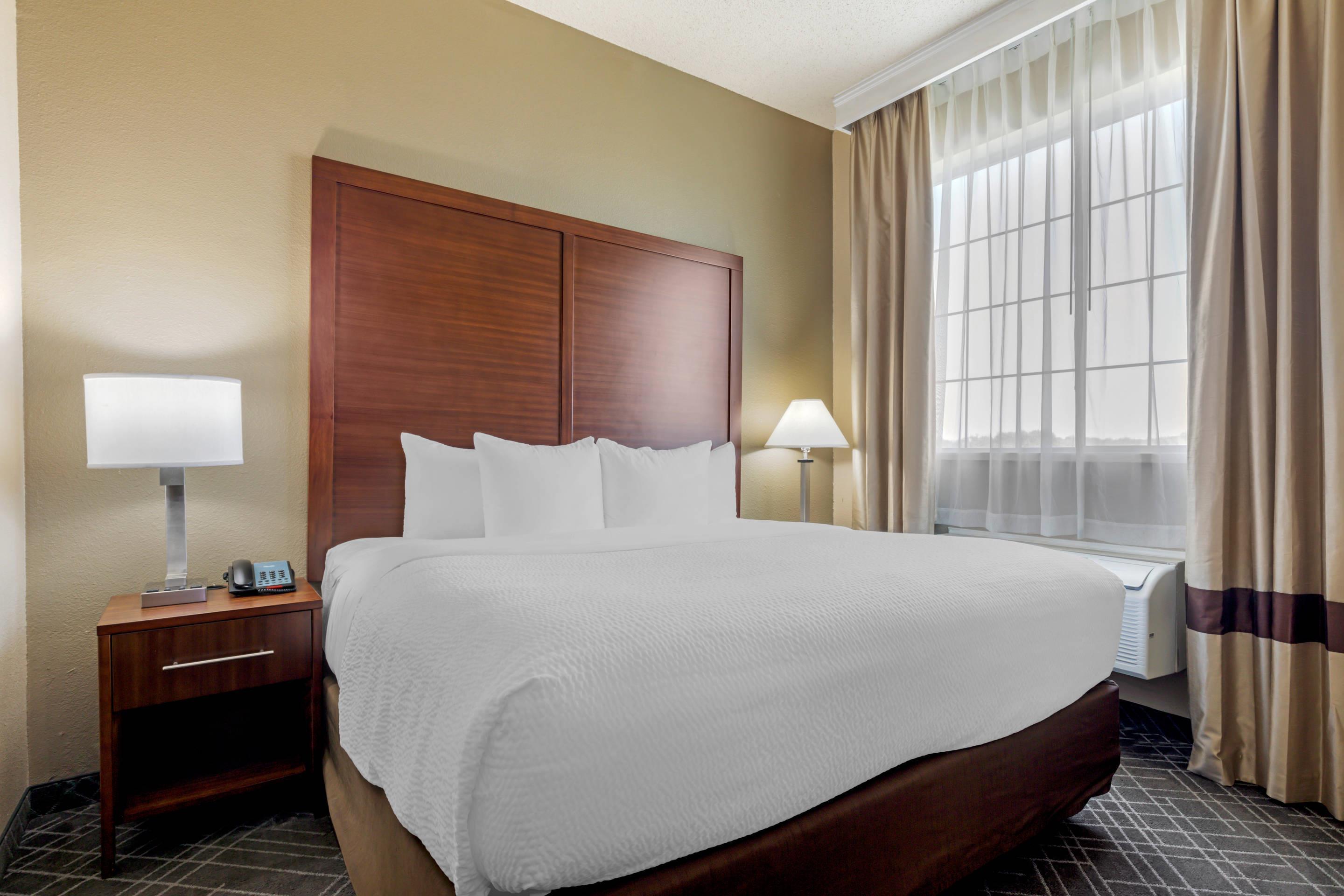 Suite King Bed Non Smoking