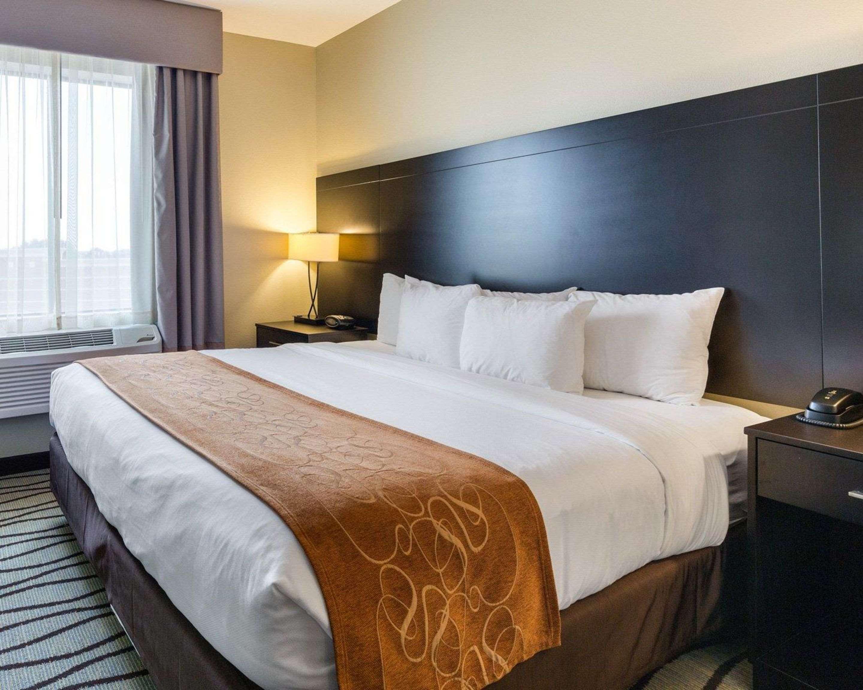 Suite King Bed Non Smoking