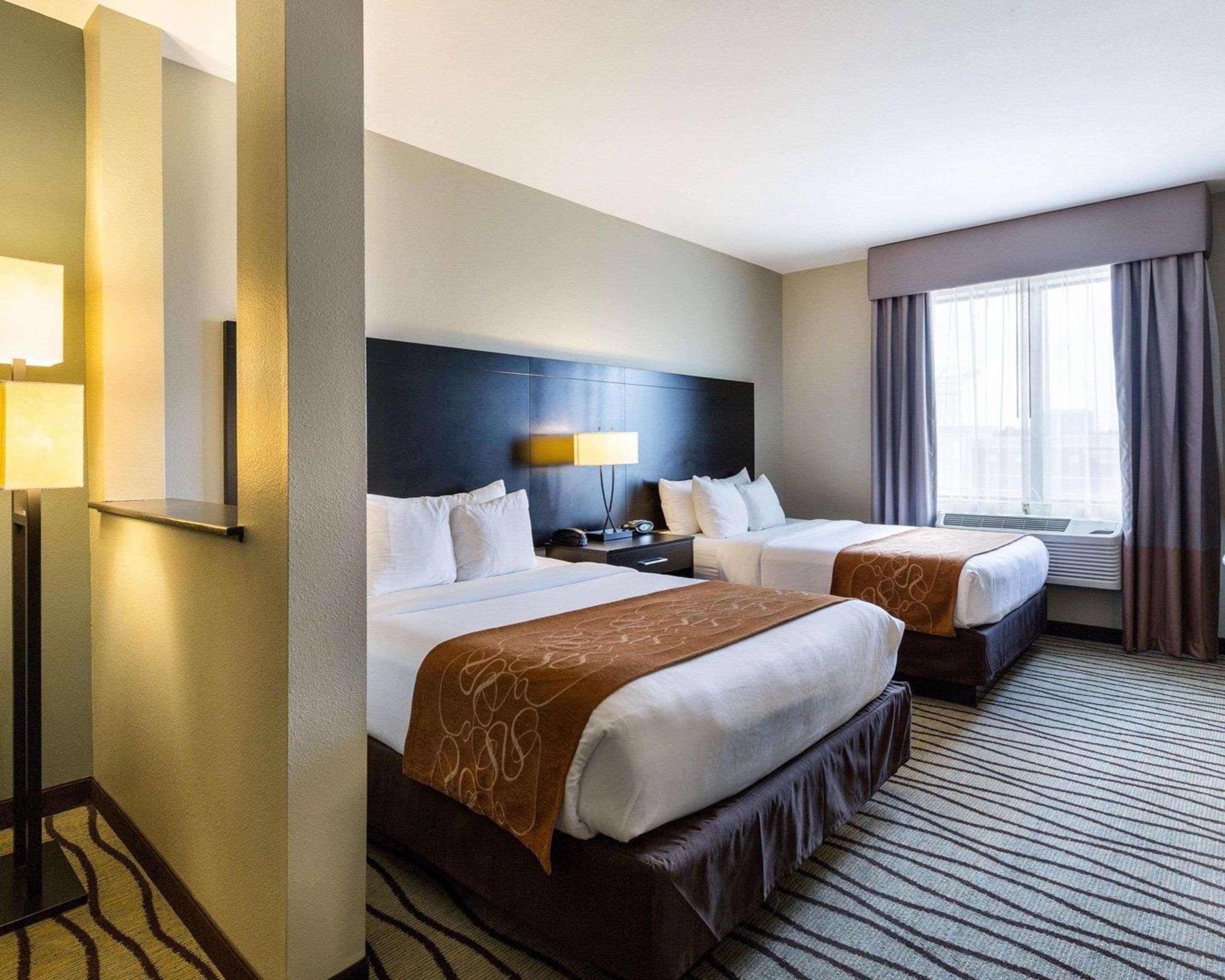 Suite Two Queen Beds