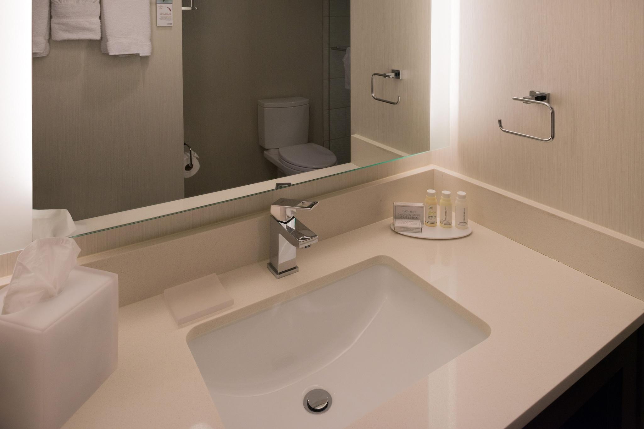 Suite Accessible King Size Bed