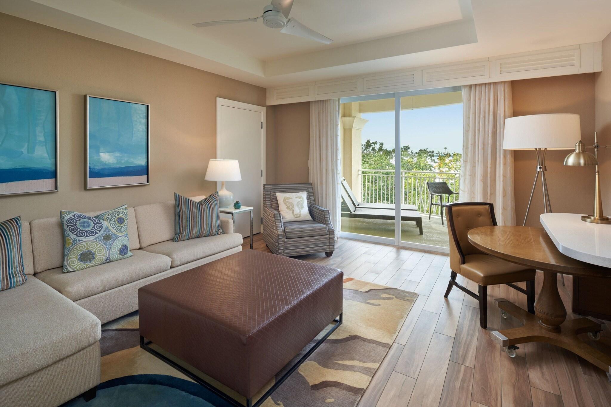 Suite King Bed One Bedroom 