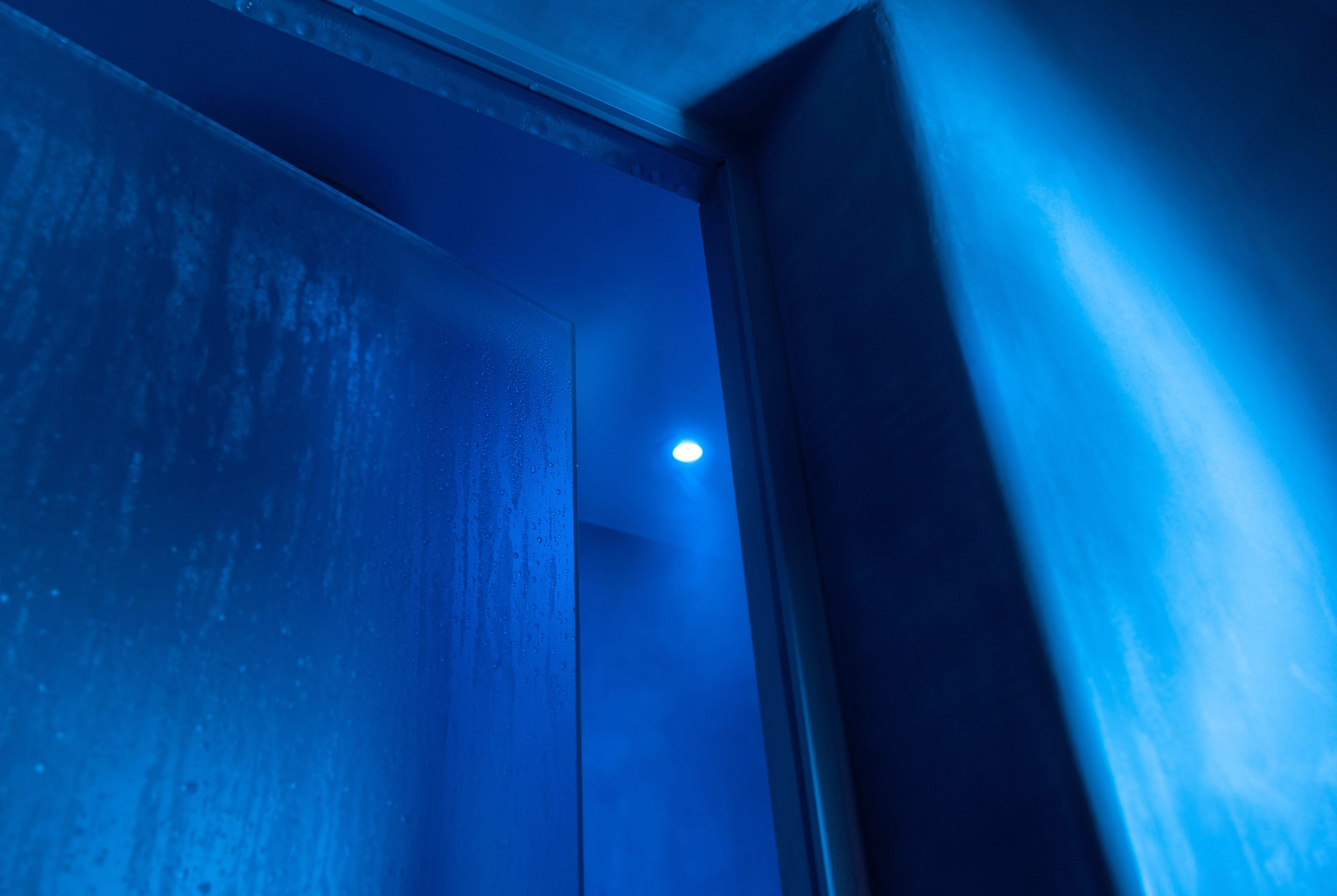 Suite Deluxe with Private Pool