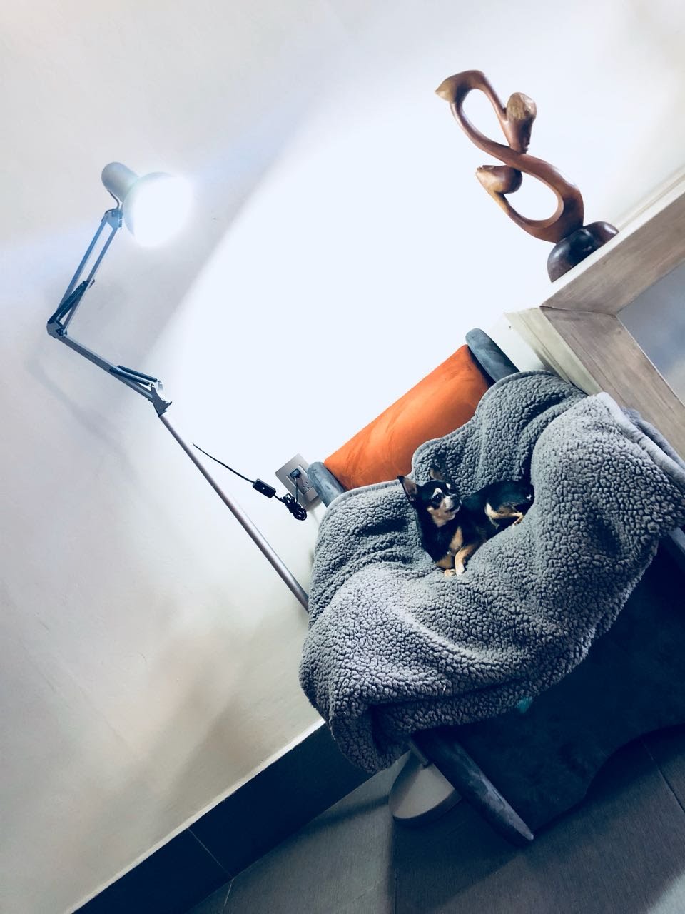 Double Two Queen Beds