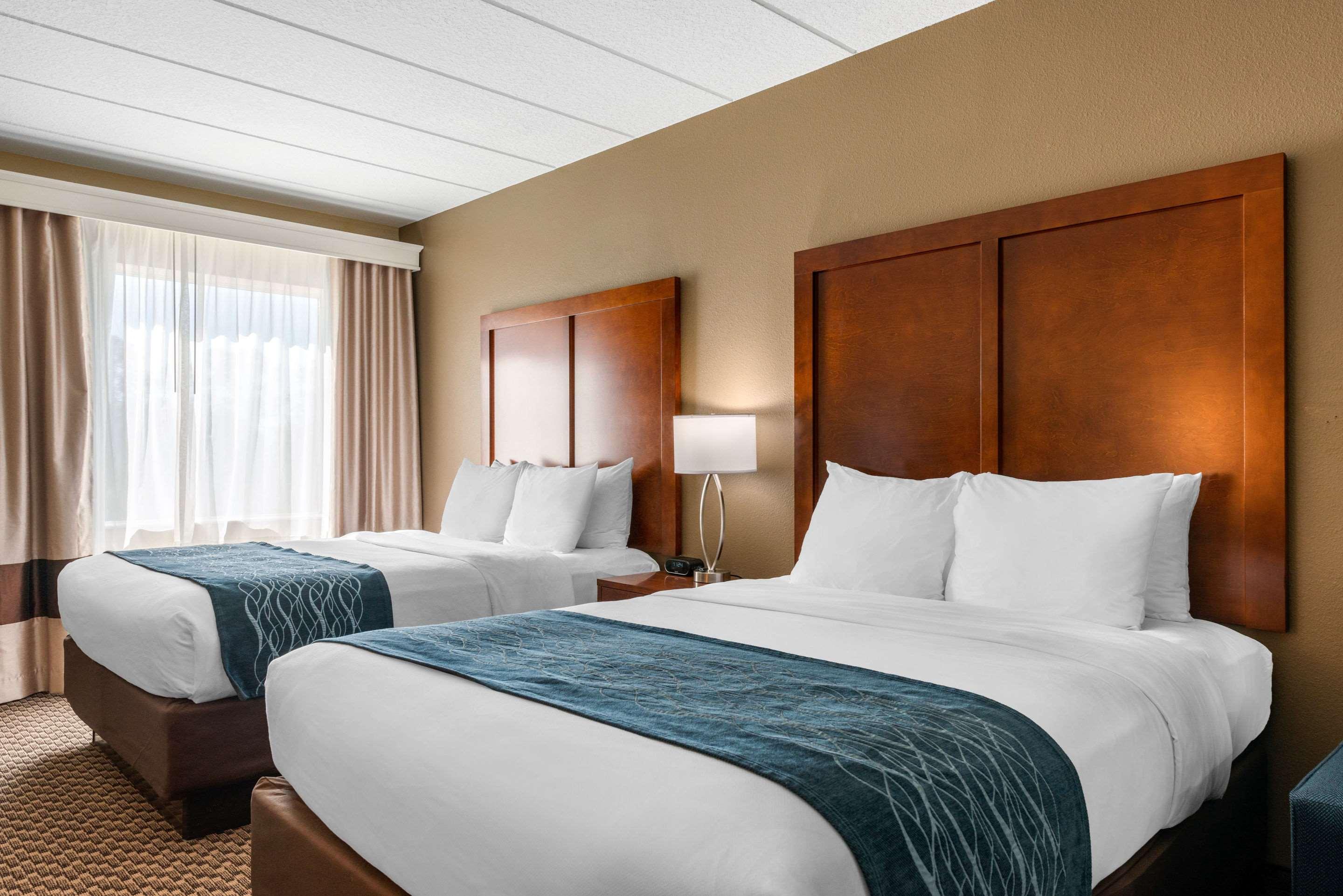 Suite Two Queen Beds