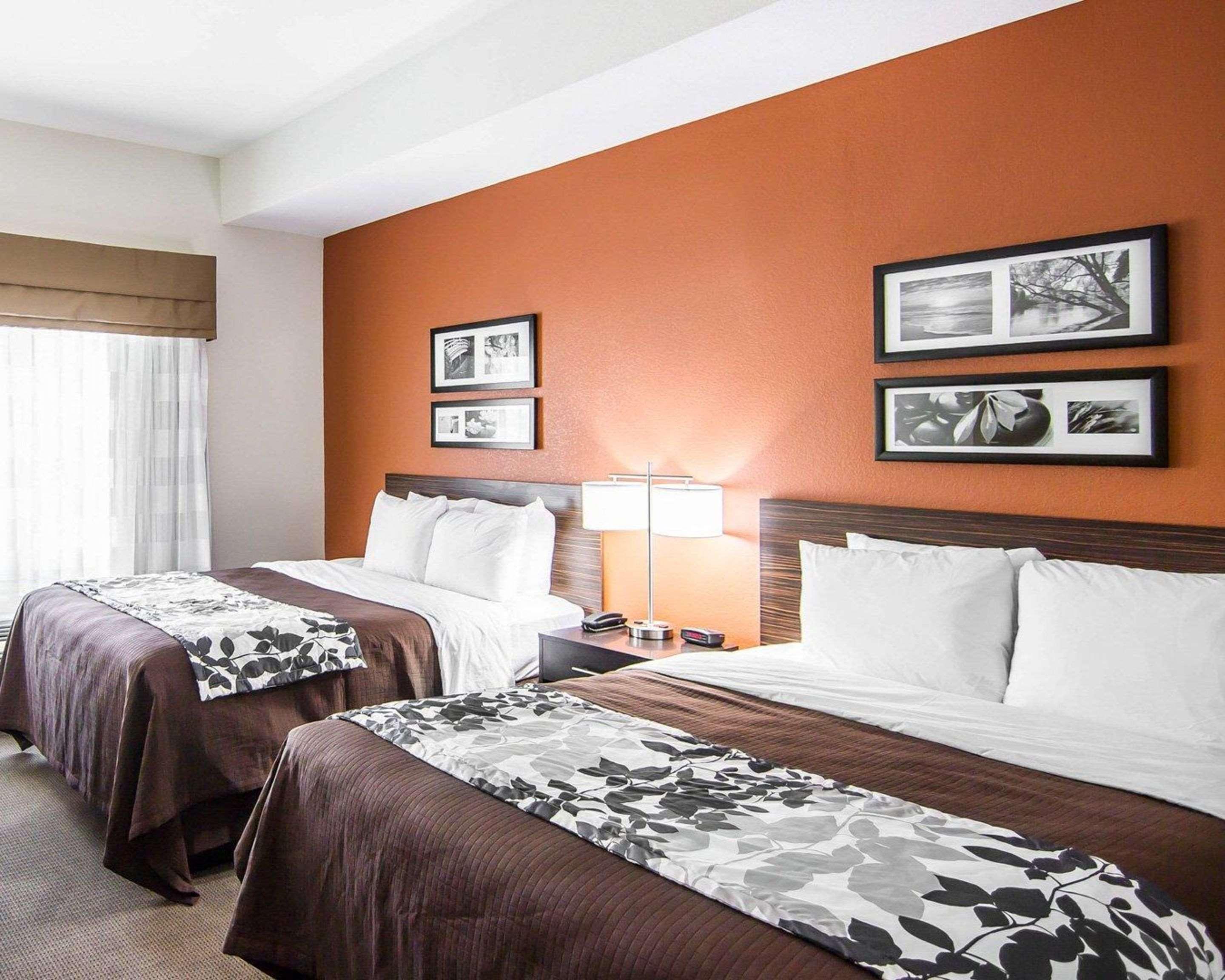 Double Two Queen Beds