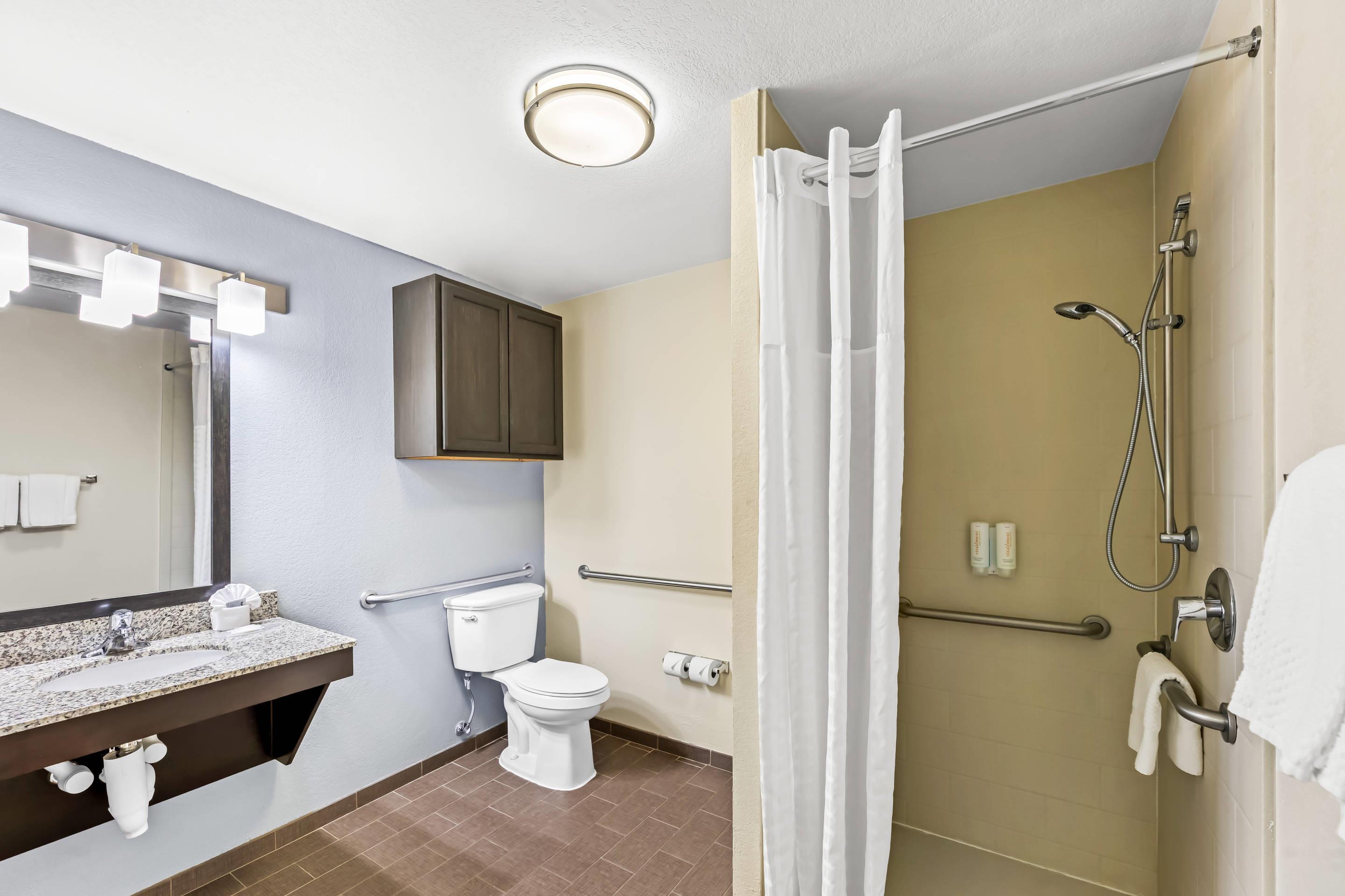 Suite King Bed Non Smoking