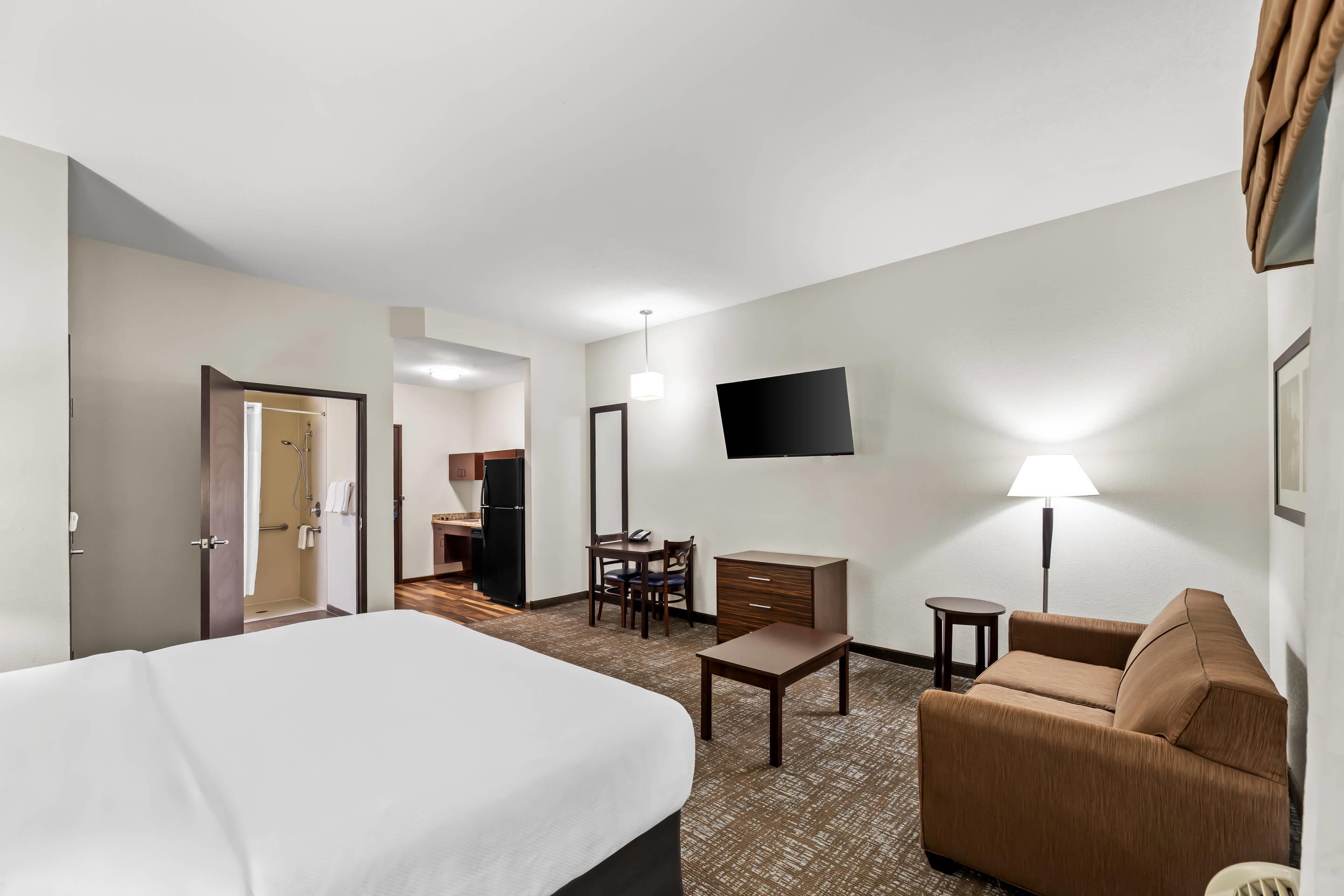 Suite King Bed Non Smoking