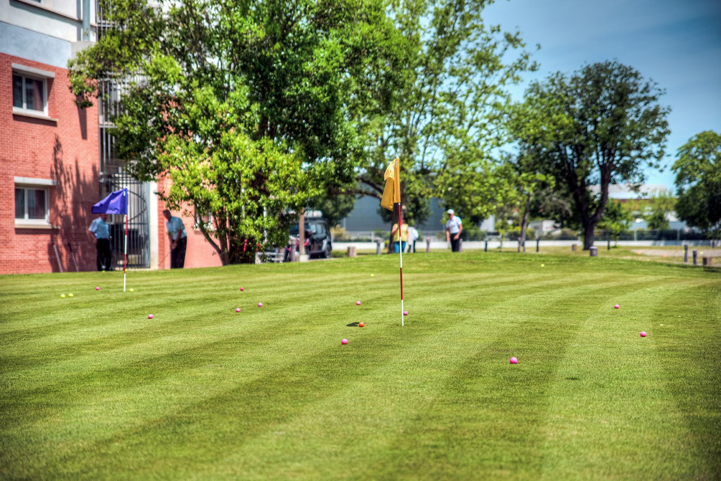 Sports and Entertainment