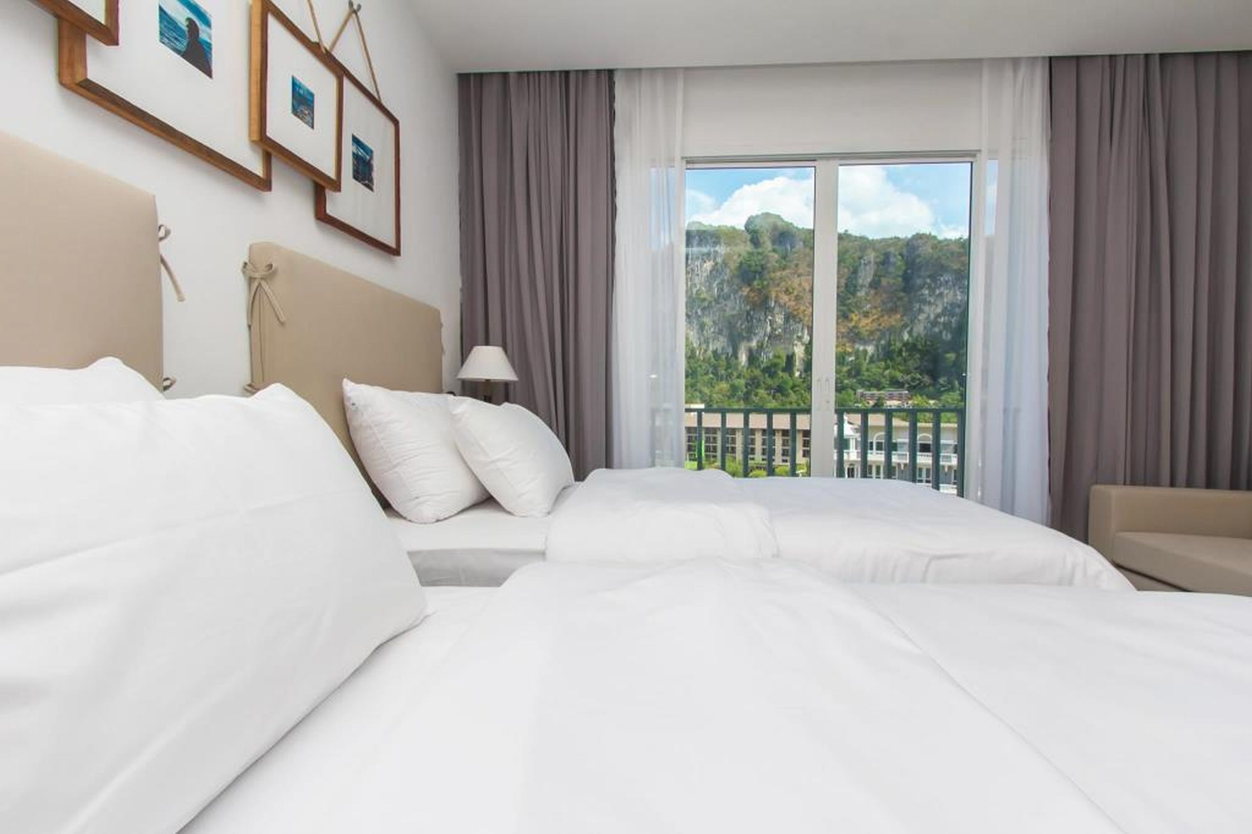 Double or Twin Deluxe Mountain View