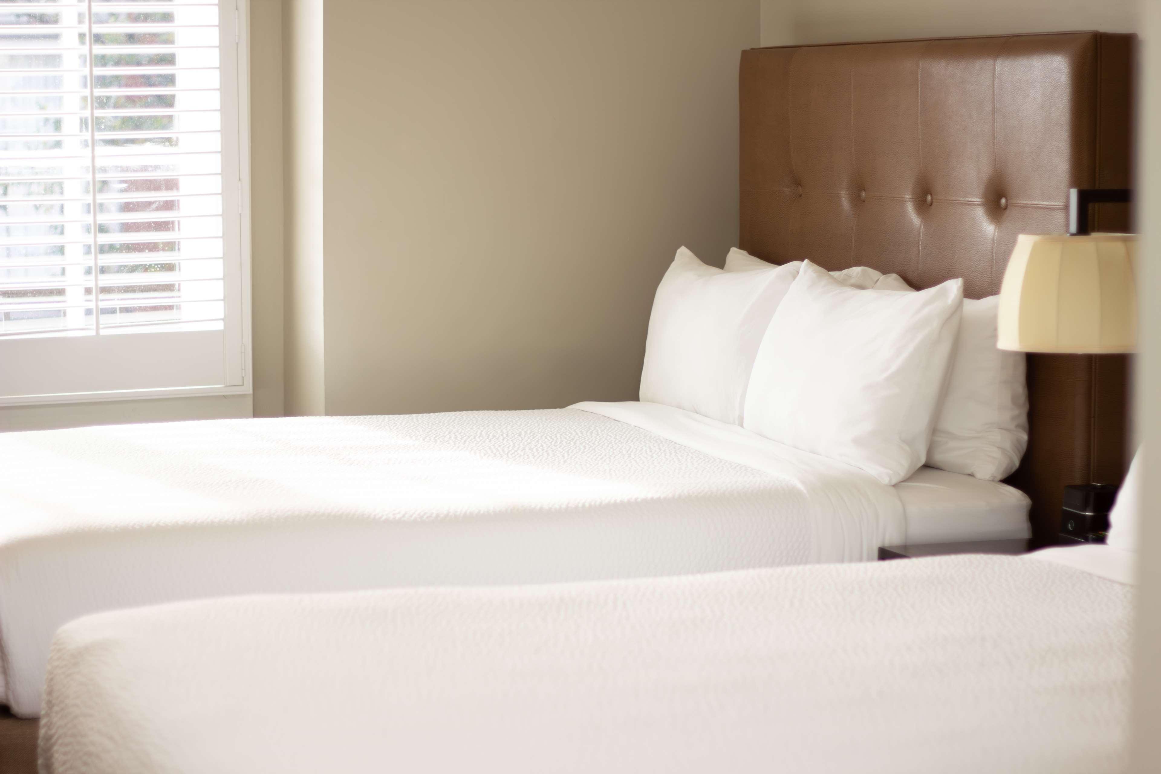 Double Two Queen Beds