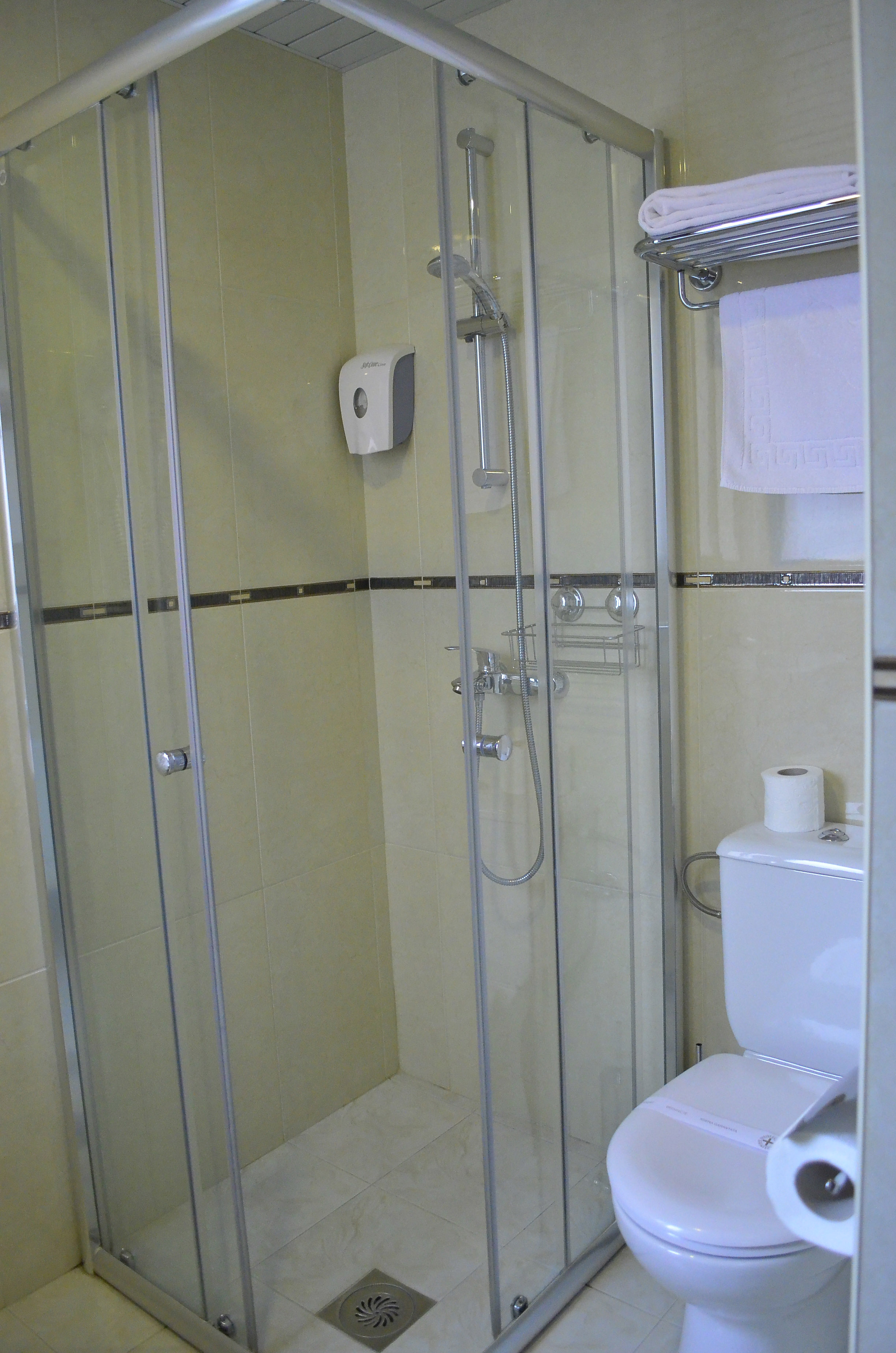 Double or Twin Economy