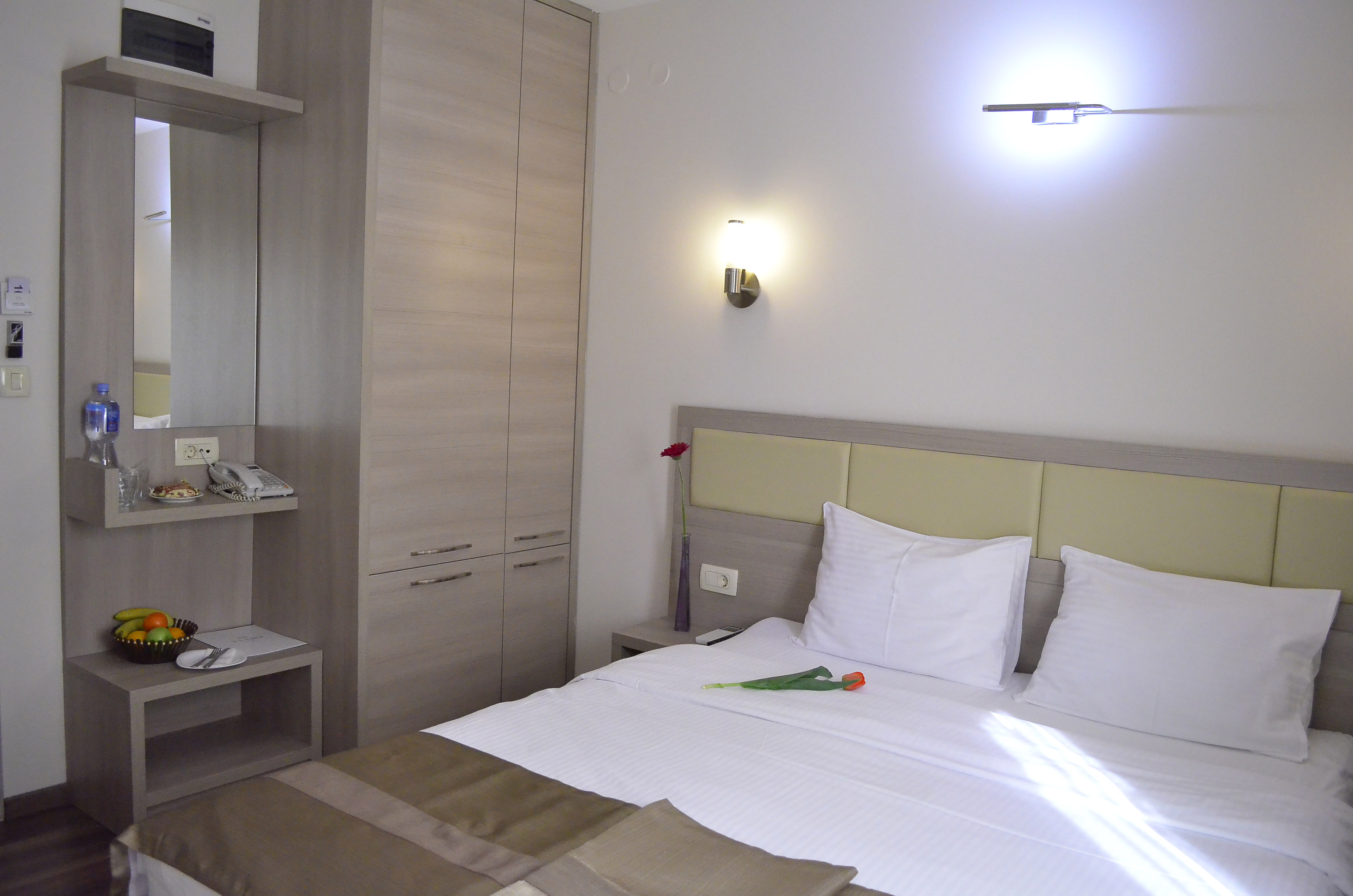 Double or Twin Economy