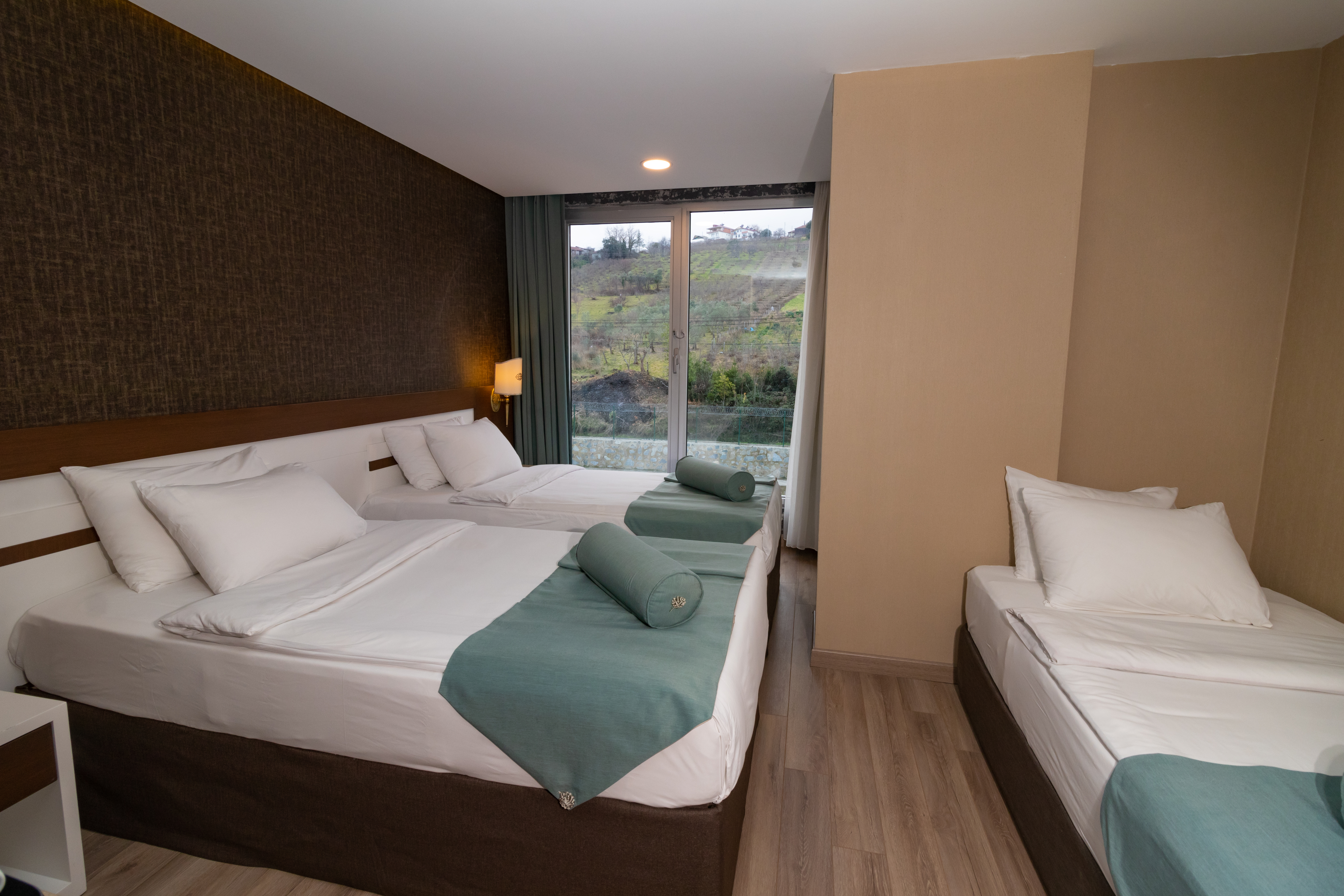 Triple Mountain View