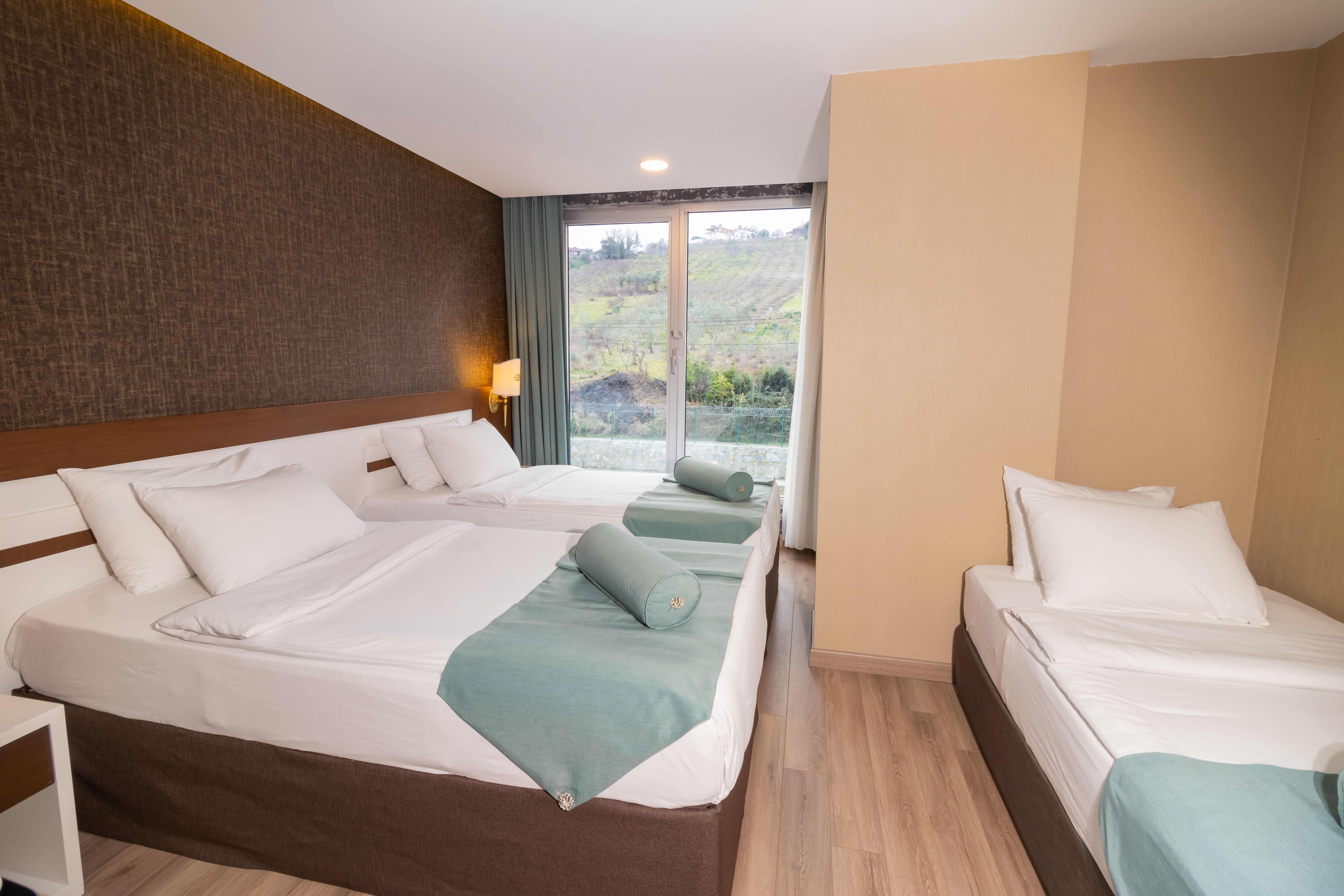 Triple Mountain View