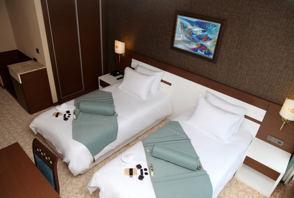 Room Deluxe Mountain View