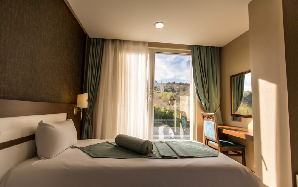 Room Deluxe Mountain View