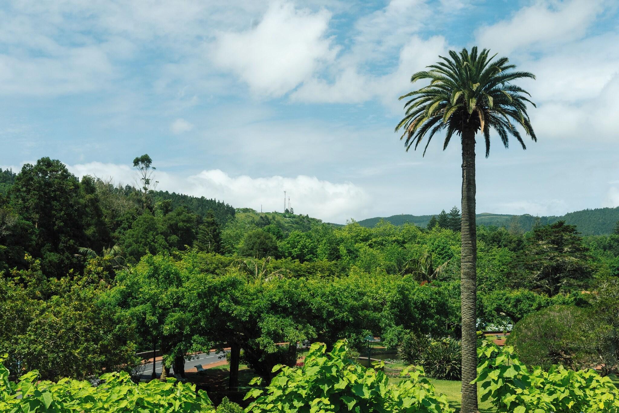 Double or Twin Premium