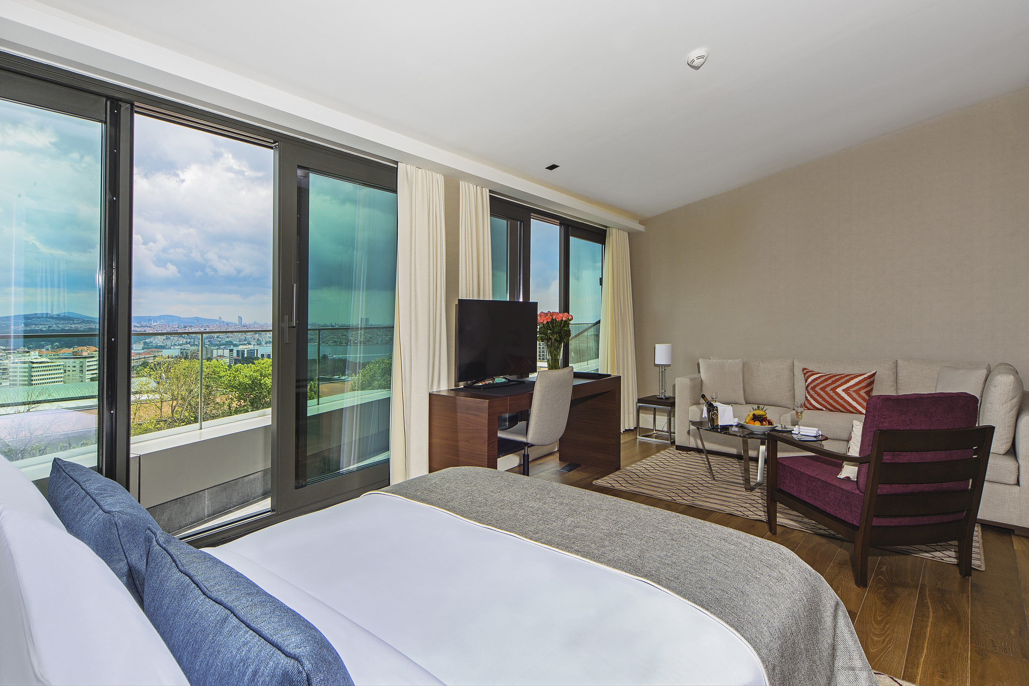 Family Room with Views