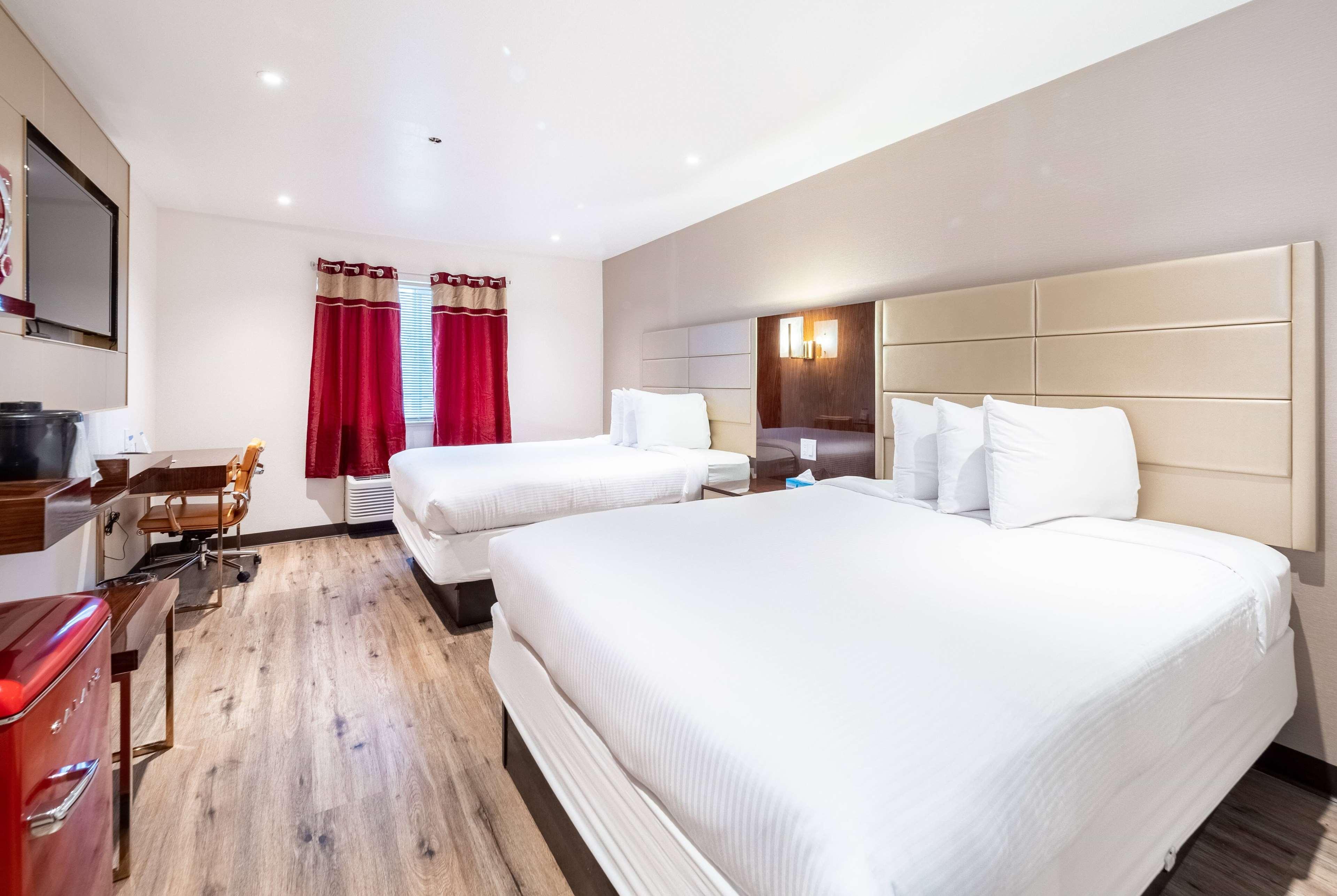 Quadruple Two Queen Beds