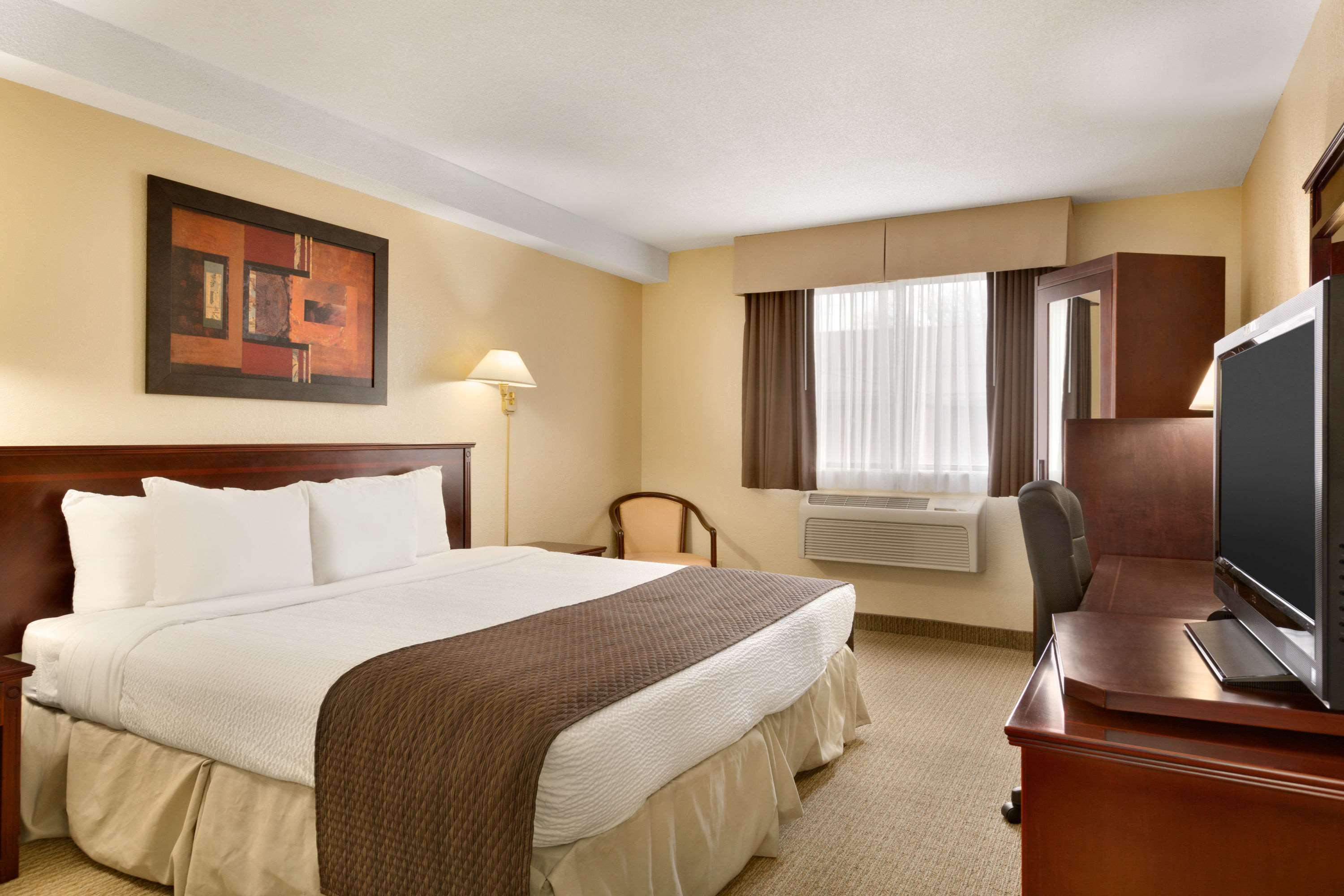 Suite King Bed Non Smoking