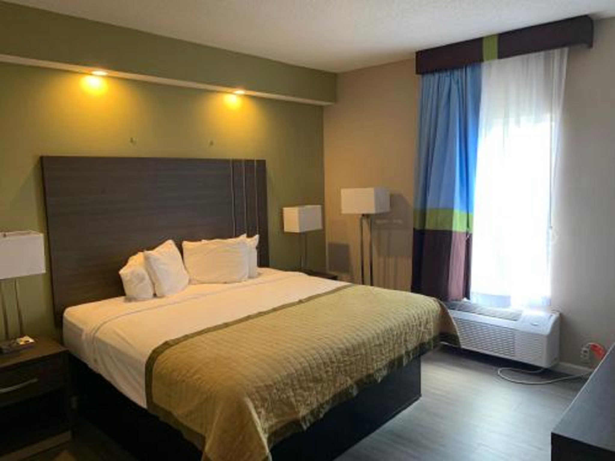 Suite Accessible King Size Bed