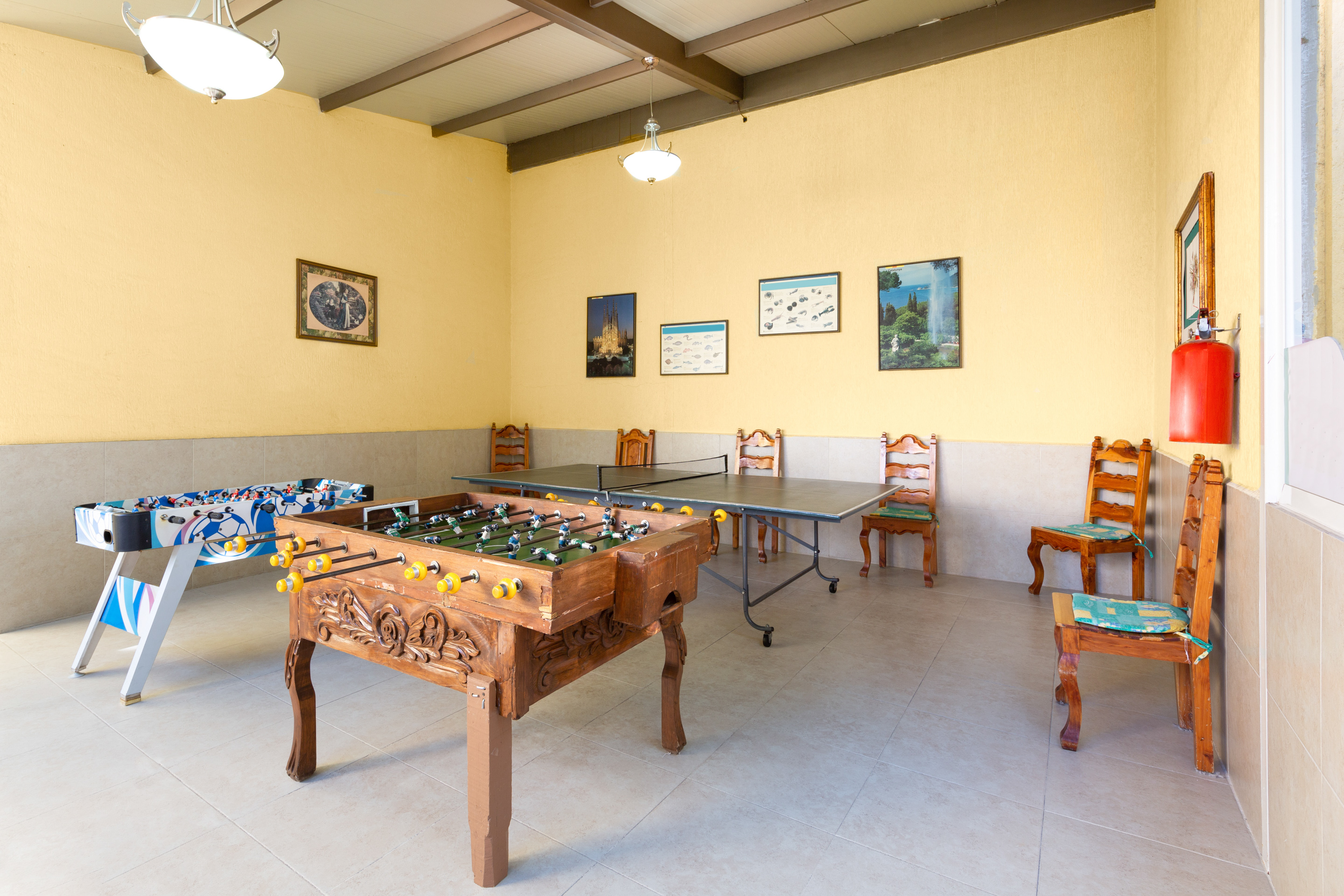 Sports and Entertainment