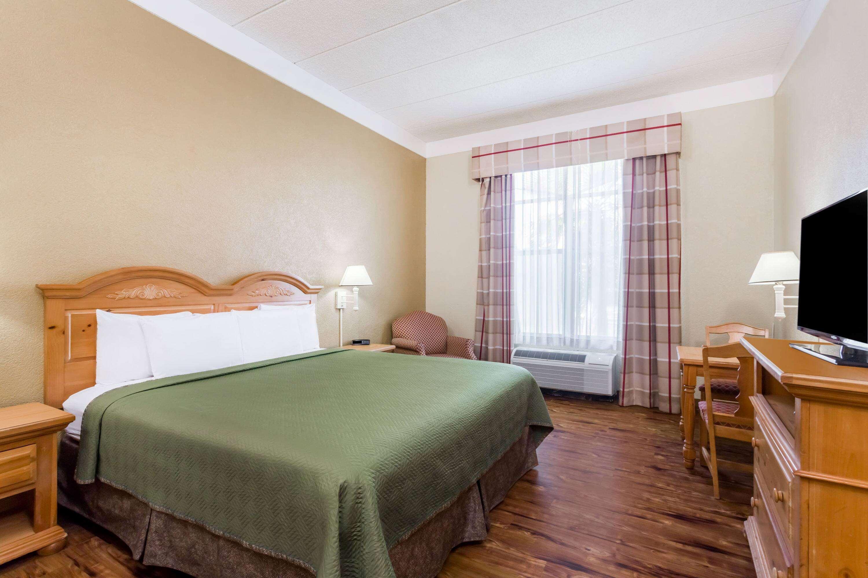 Suite King Bed Non Smoking