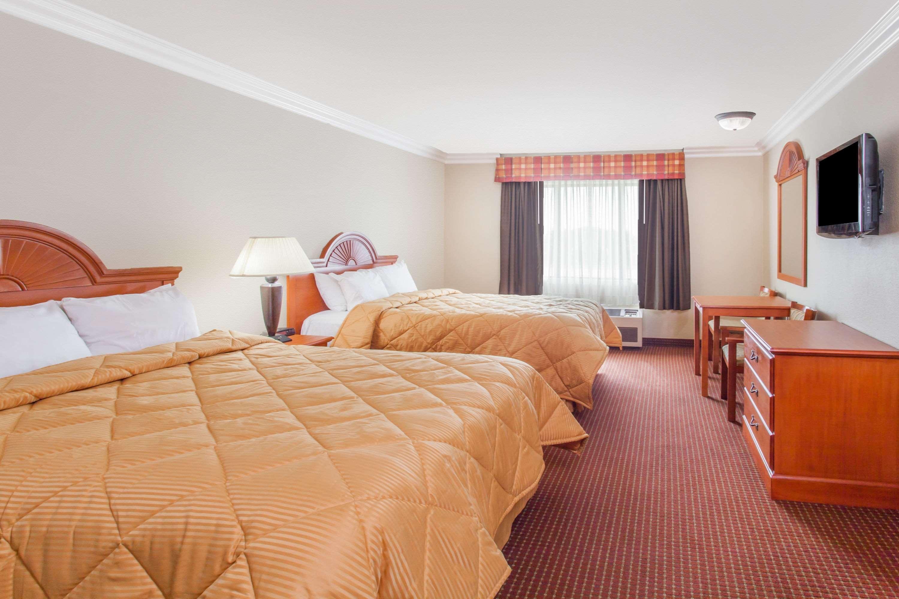 Quadruple Two Queen Beds