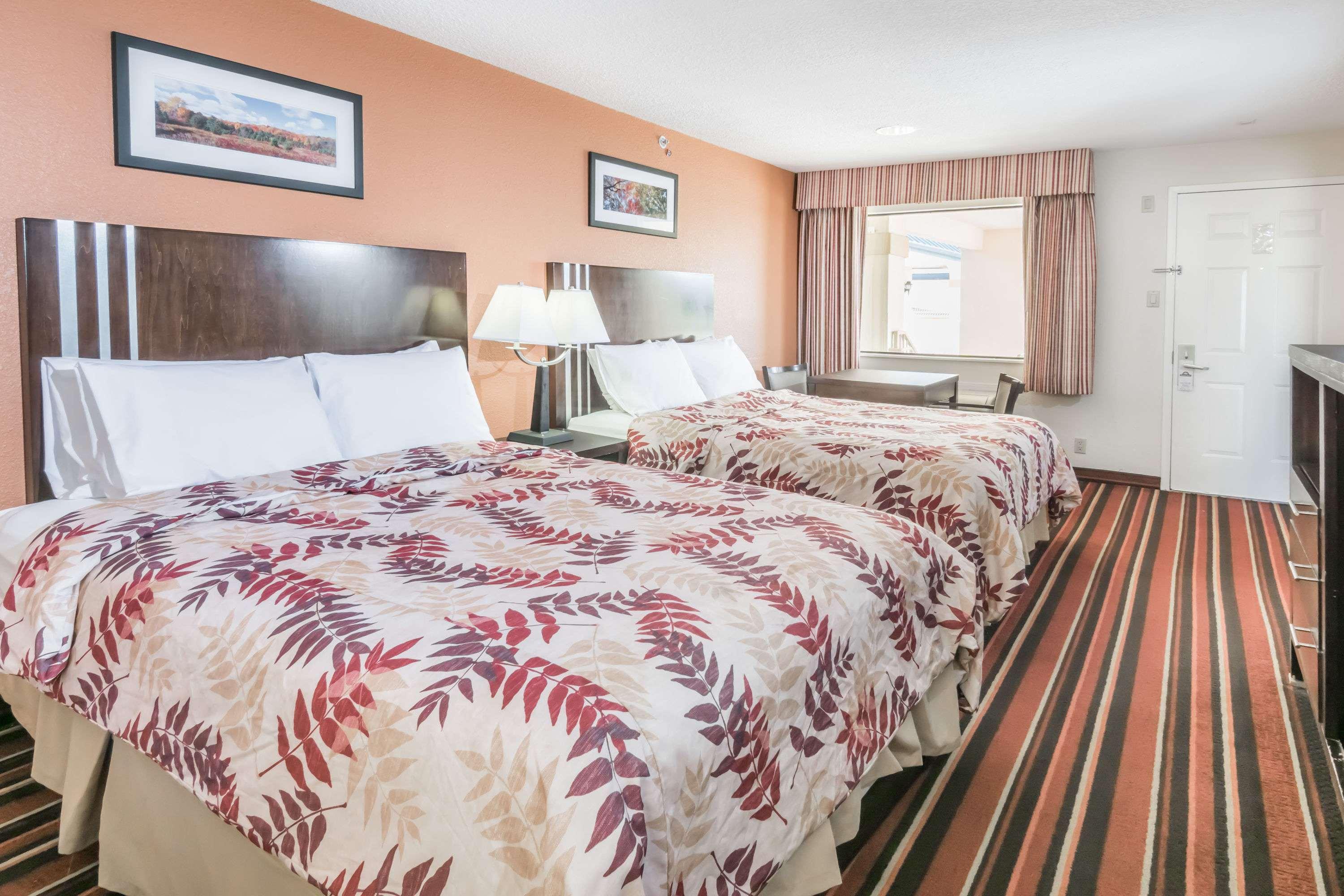 Quadruple Two Queen Beds