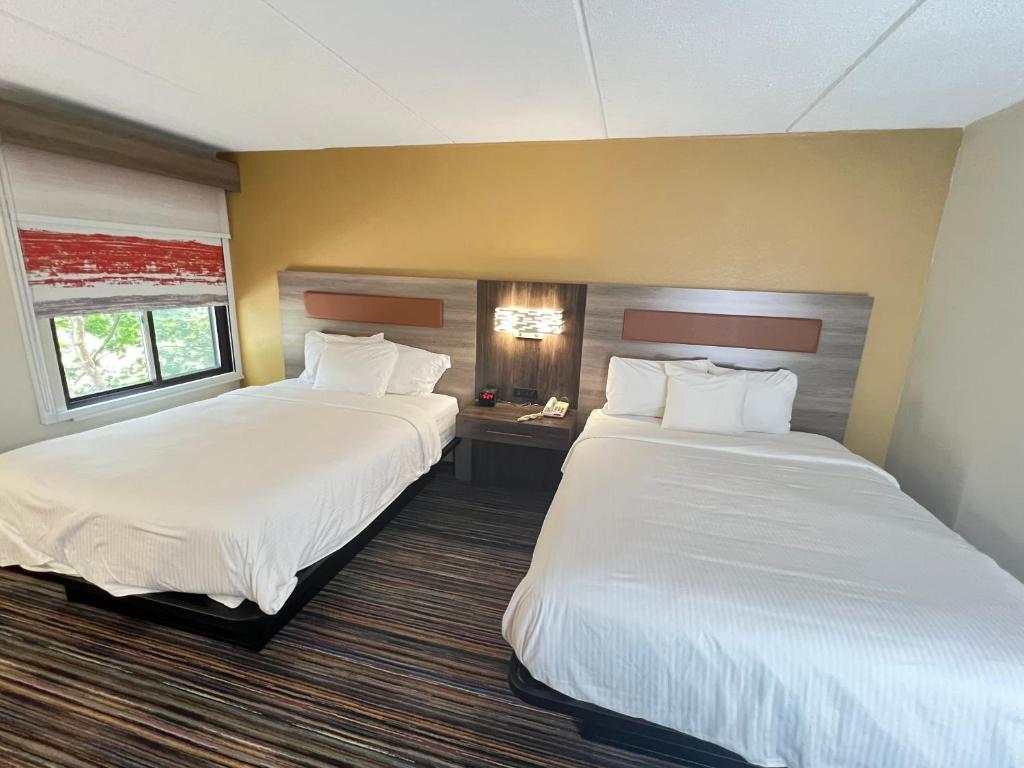 Quadruple Two Double Beds