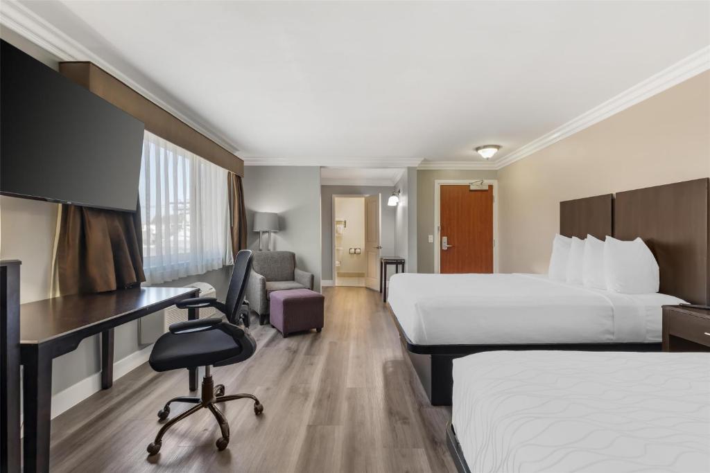 Double Two Queen Beds