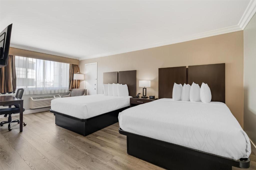 Double Two Queen Beds