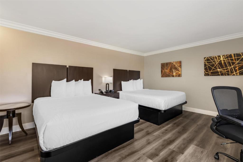 Double Two Queen Beds