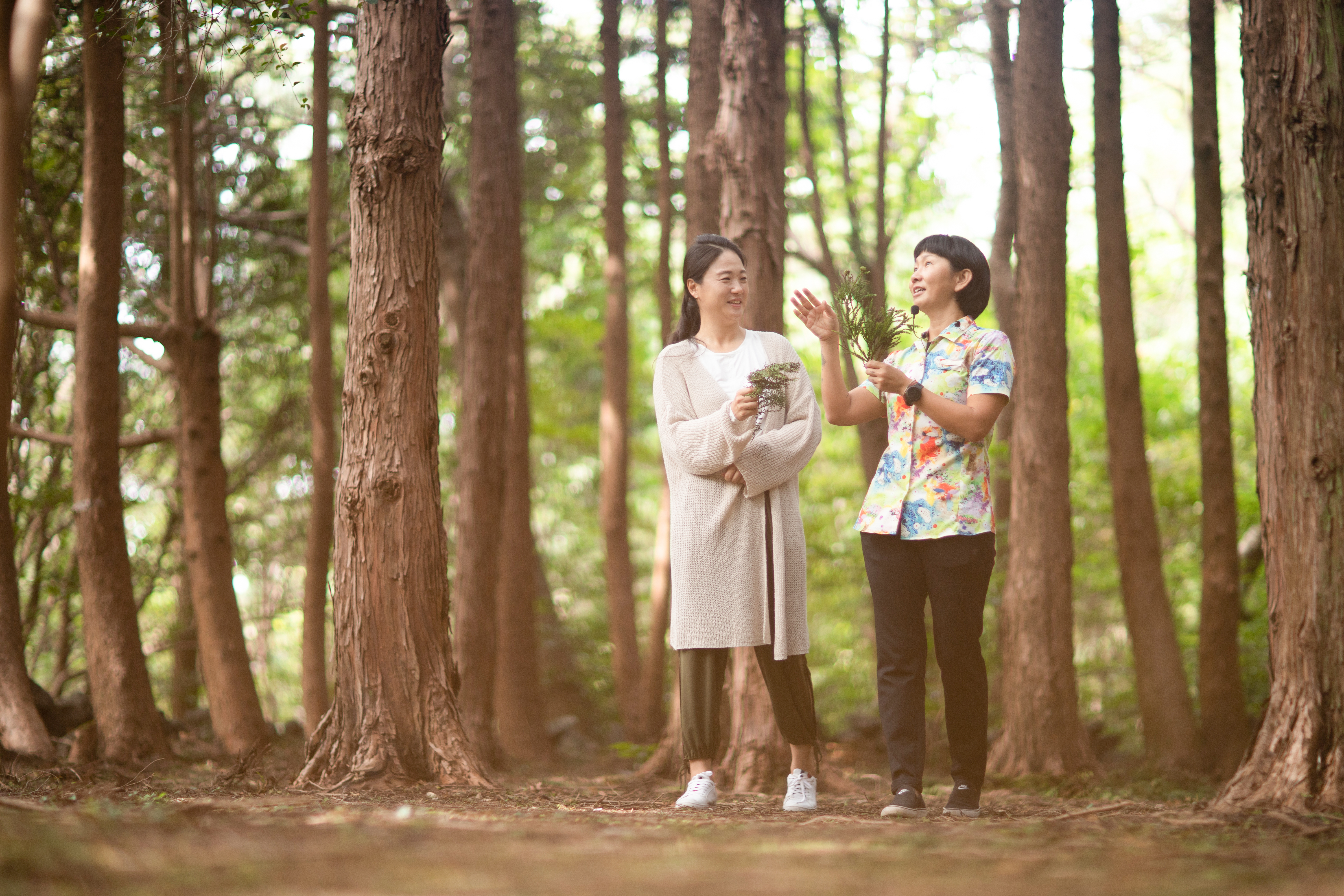 Twin Superior Garden View