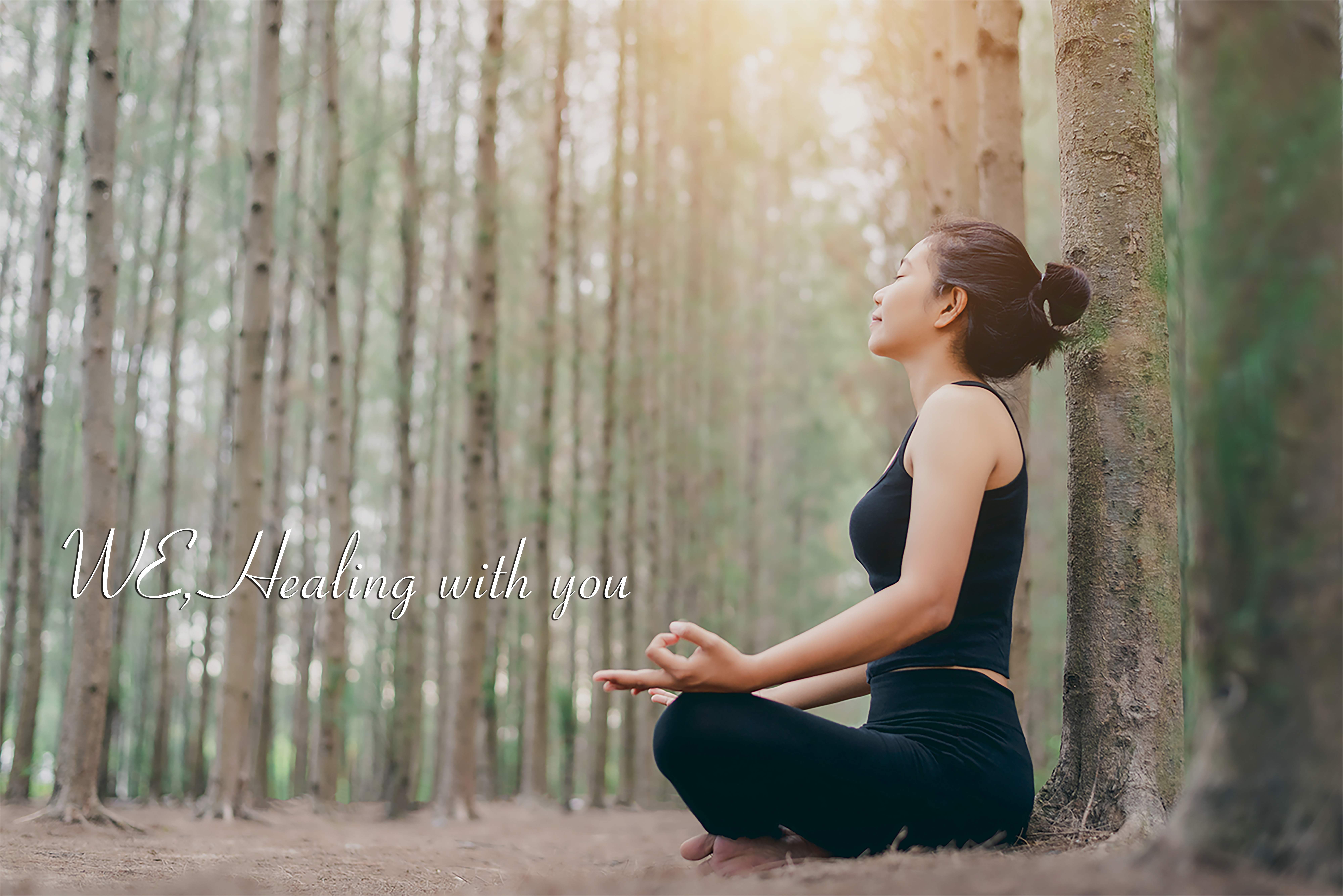 Twin Superior Garden View