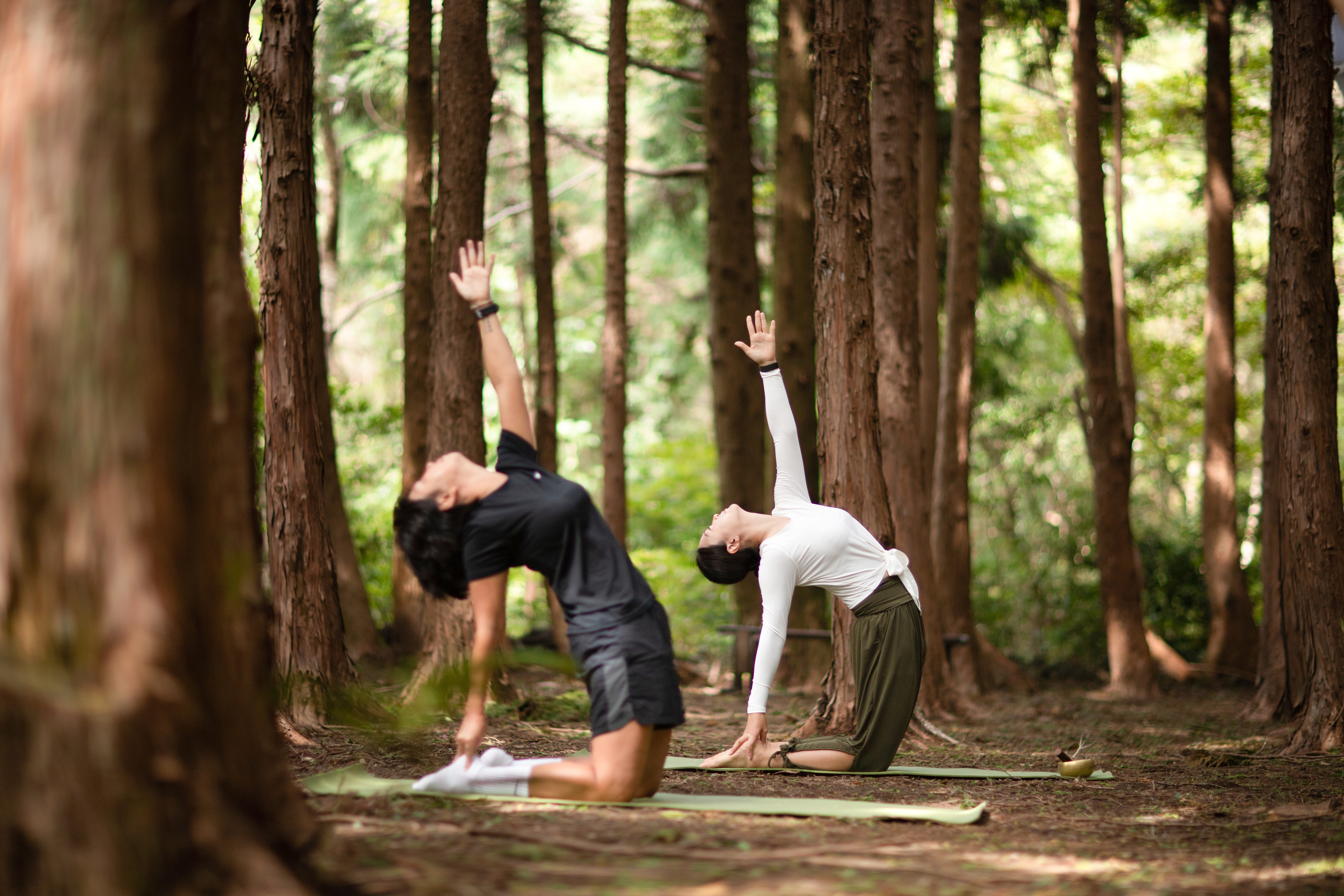 Twin Superior Garden View