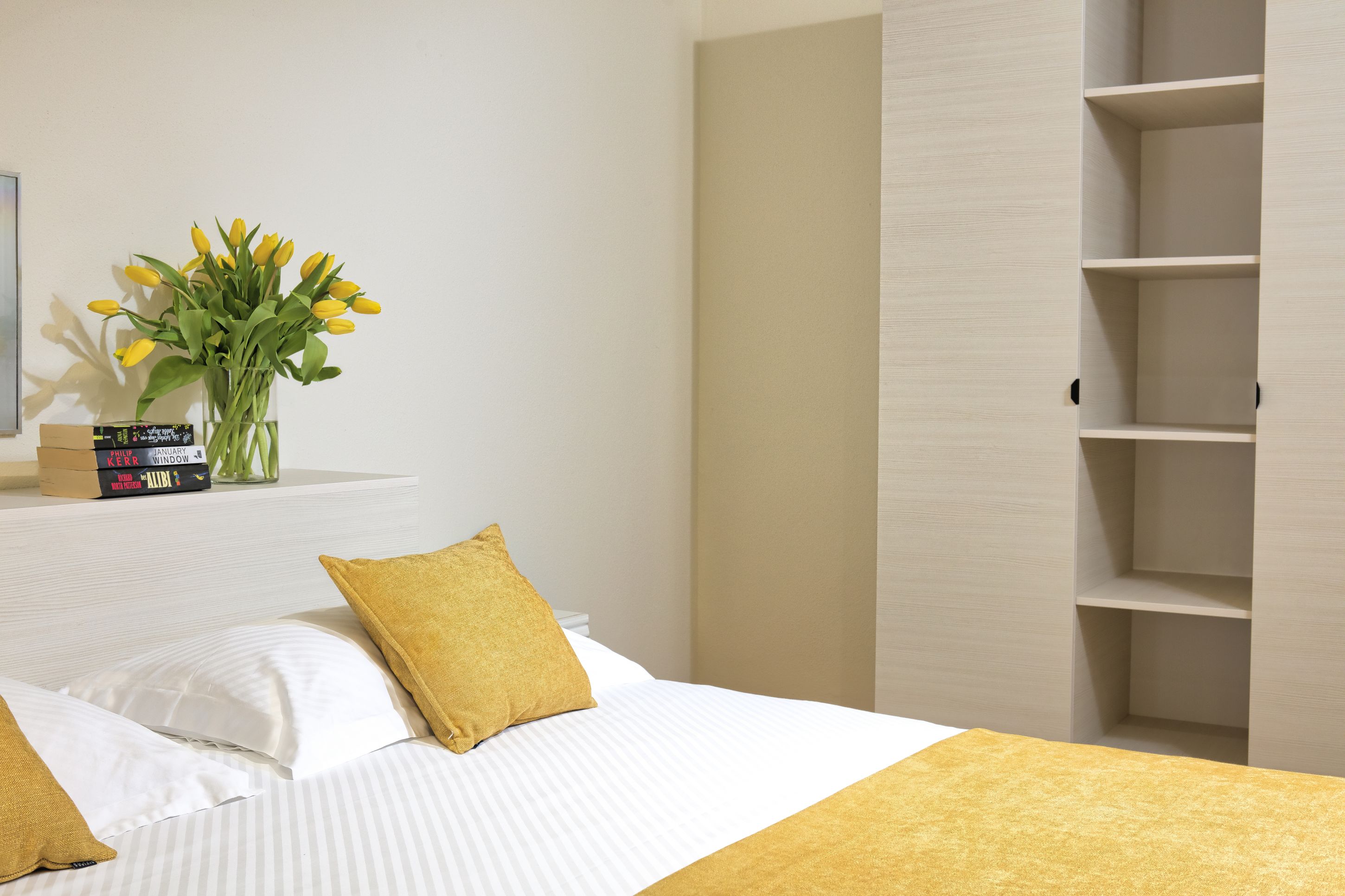 Apartment Superior One Bedroom