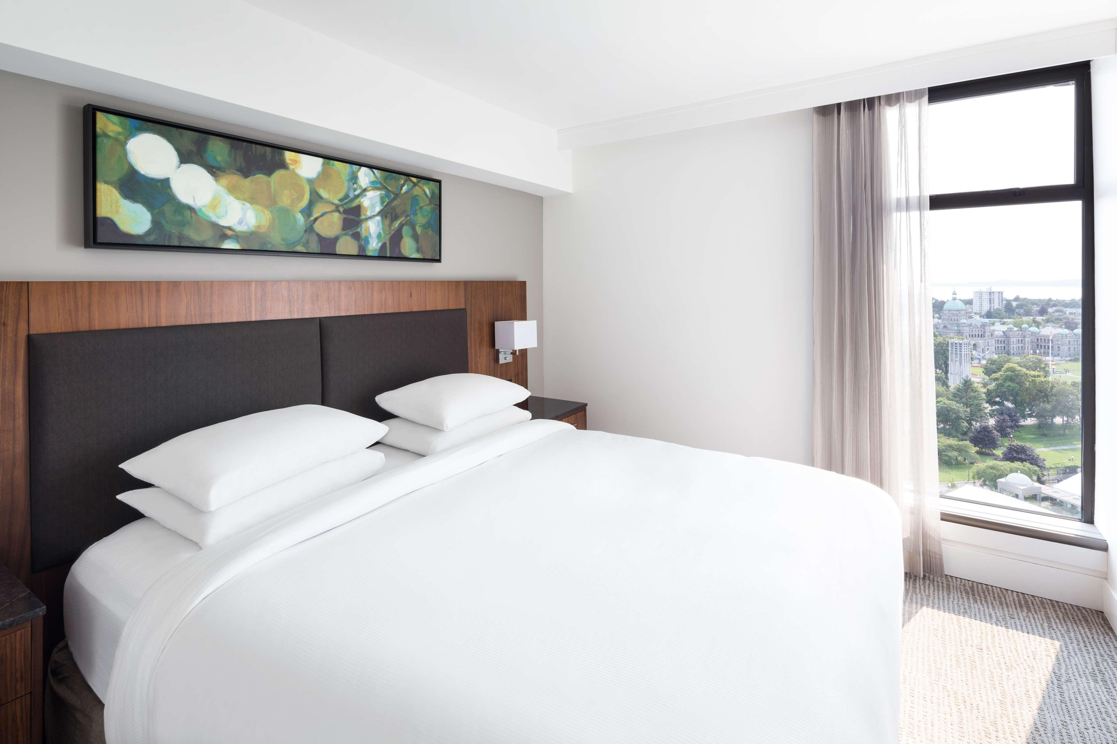 Suite King Bed One Bedroom 