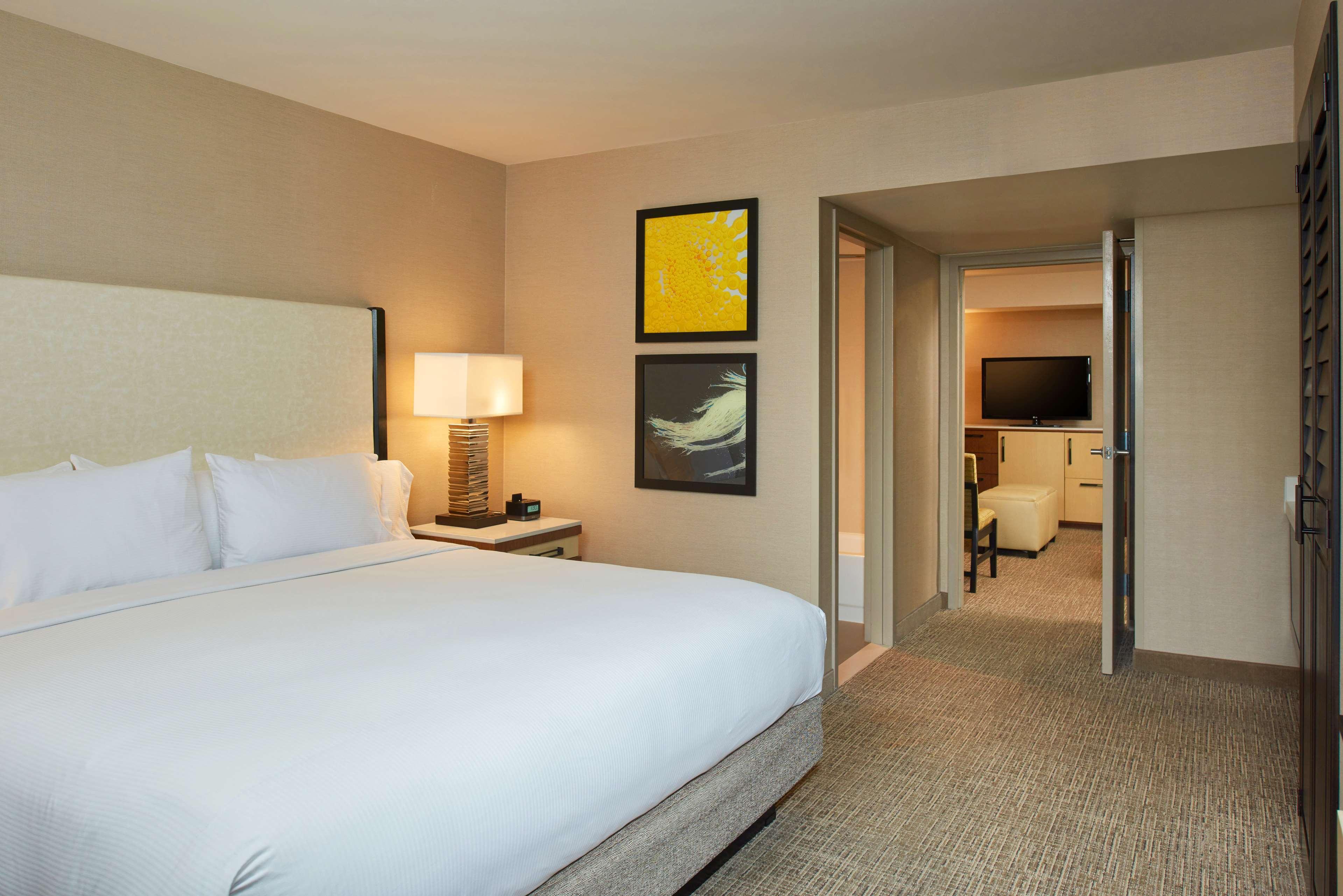 Suite King Bed Non Smoking