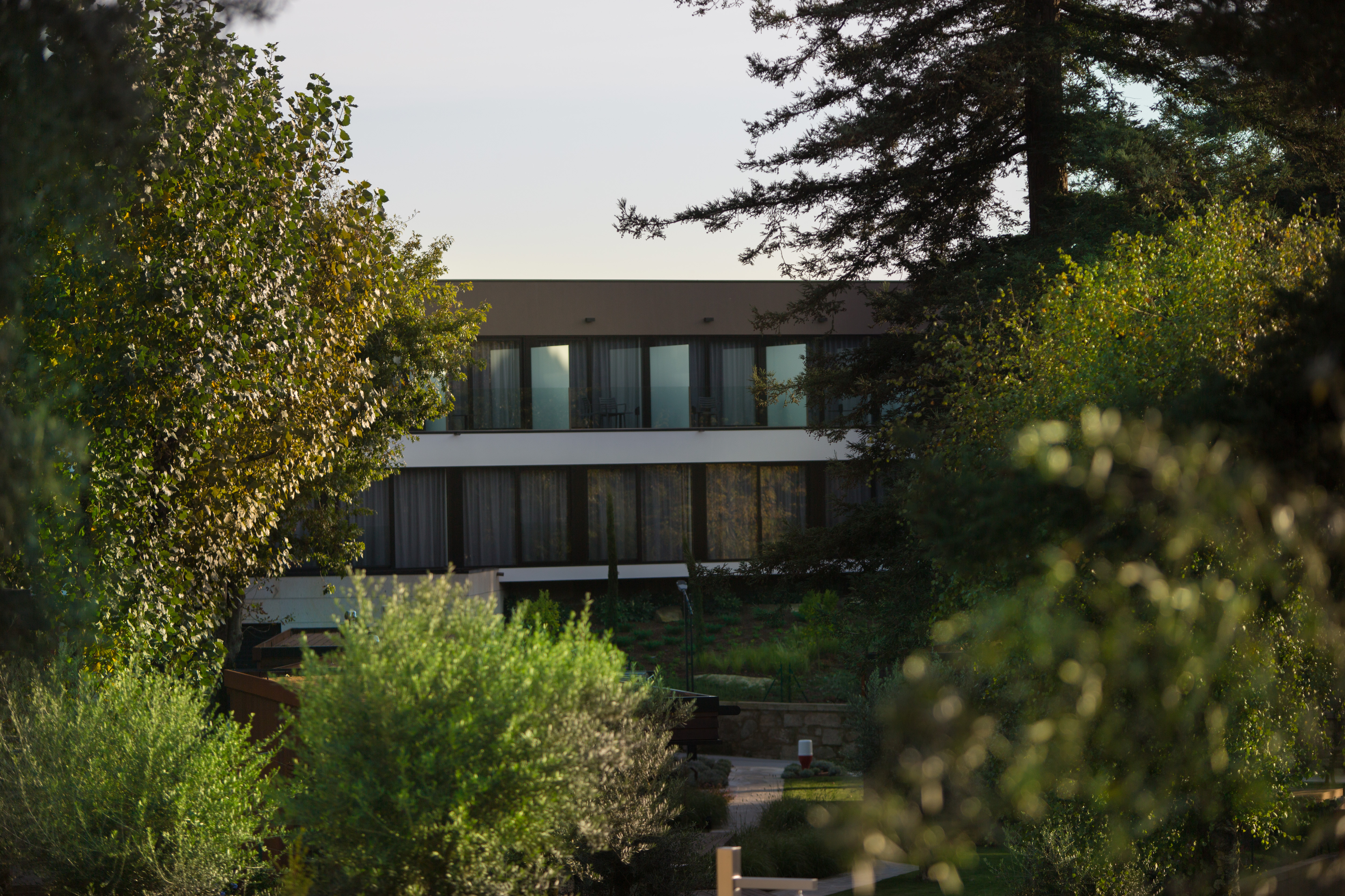 Apartment One Bedroom