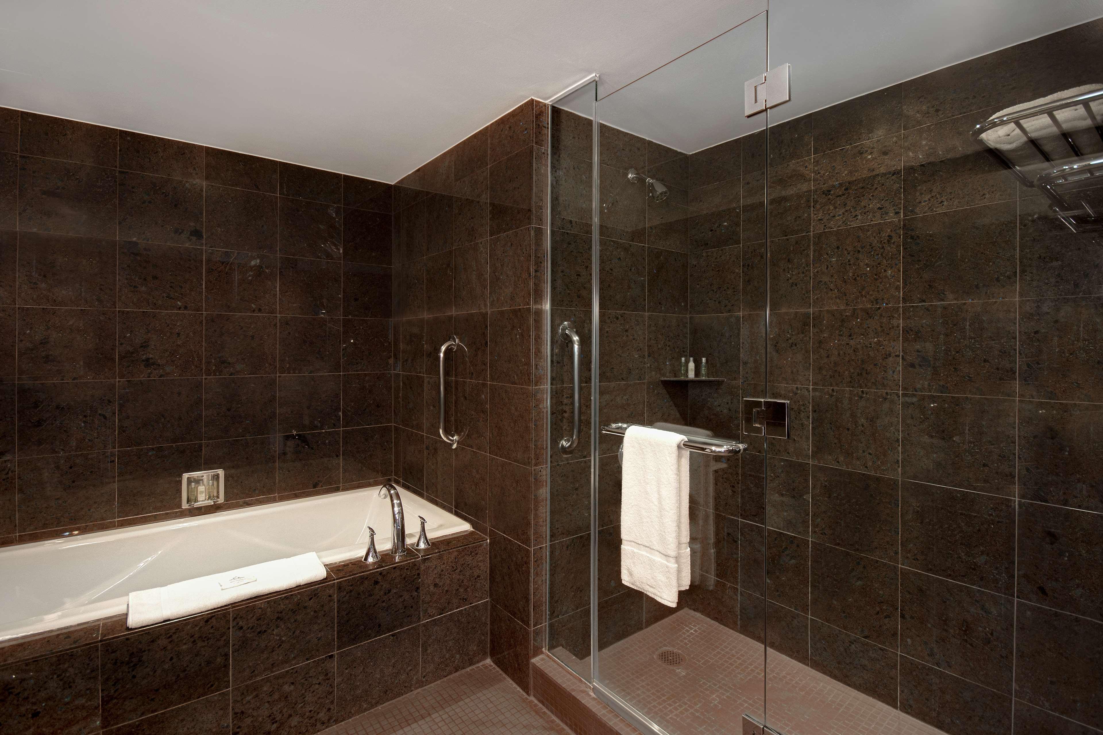 Suite King Bed One Bedroom 