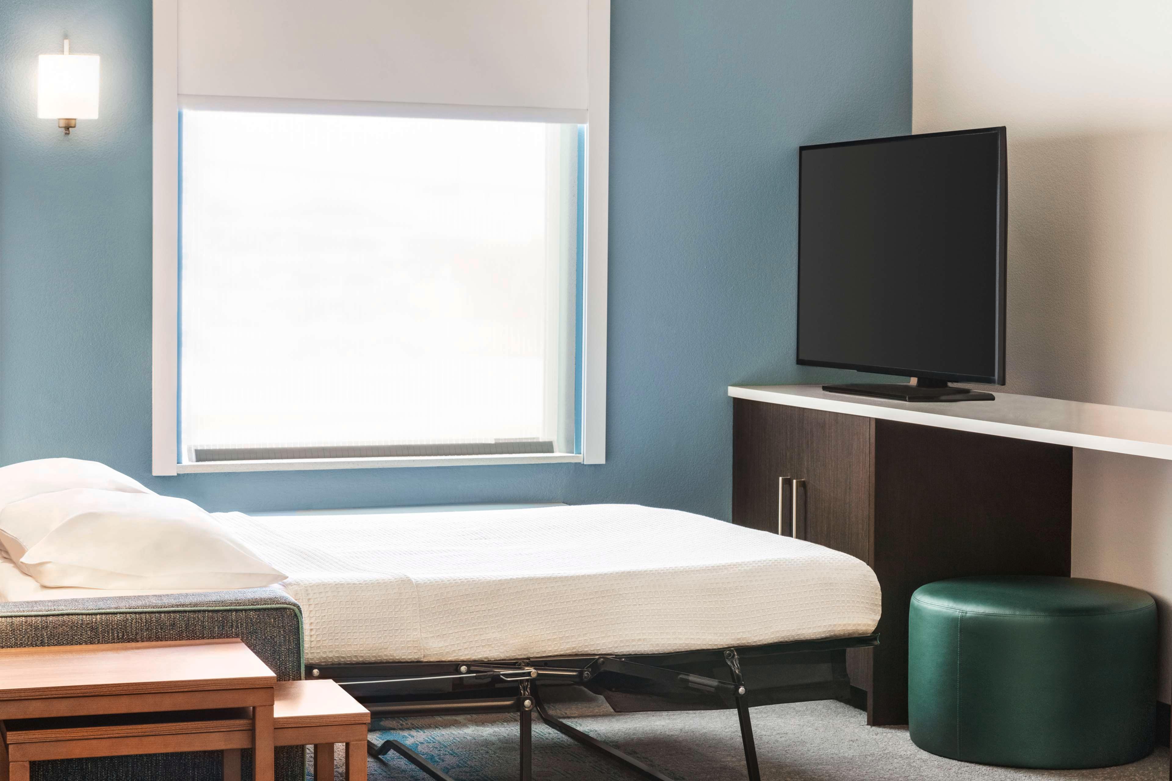 Suite King Bed One Bedroom 