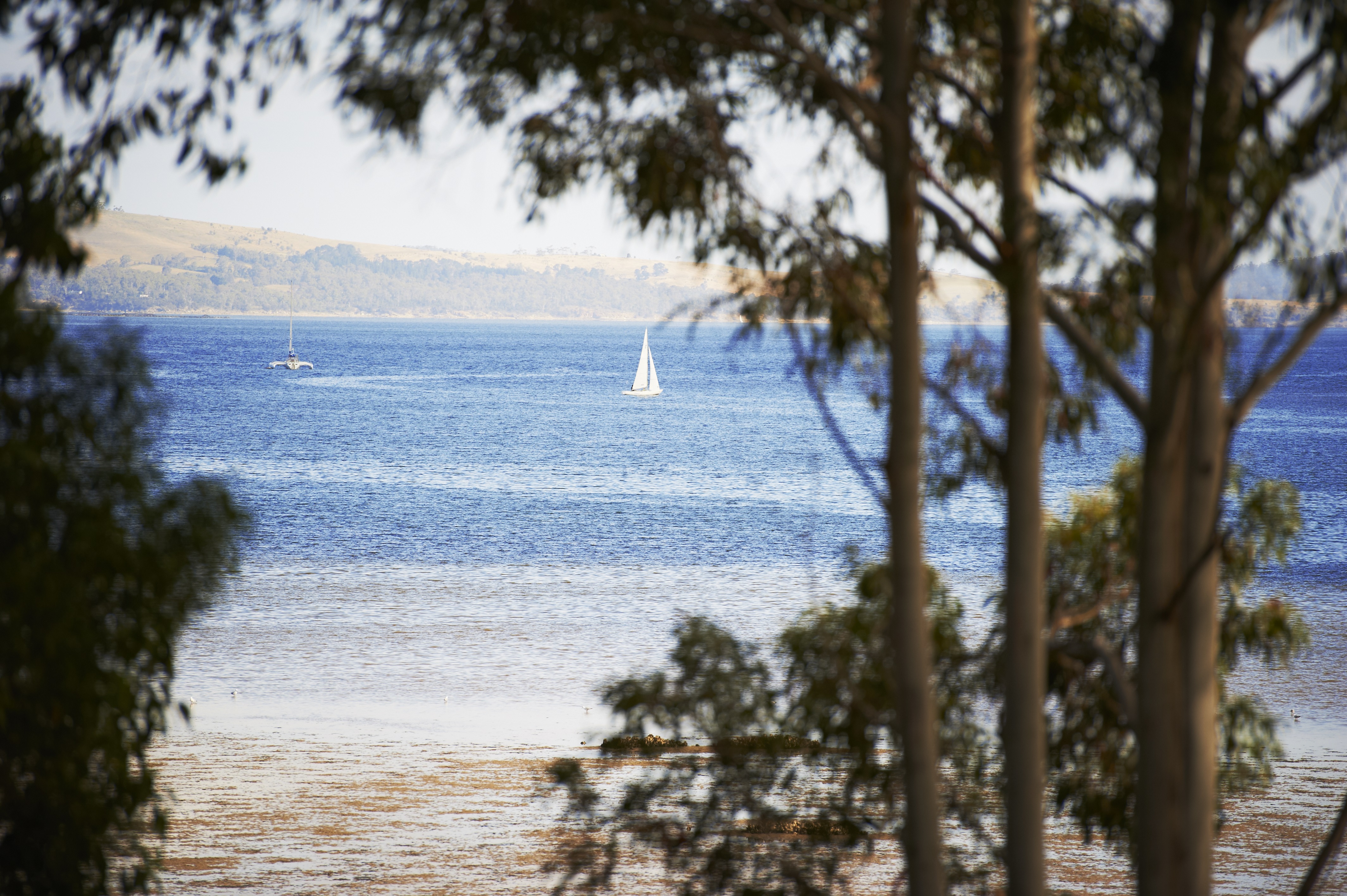 Suite Deluxe Bay View