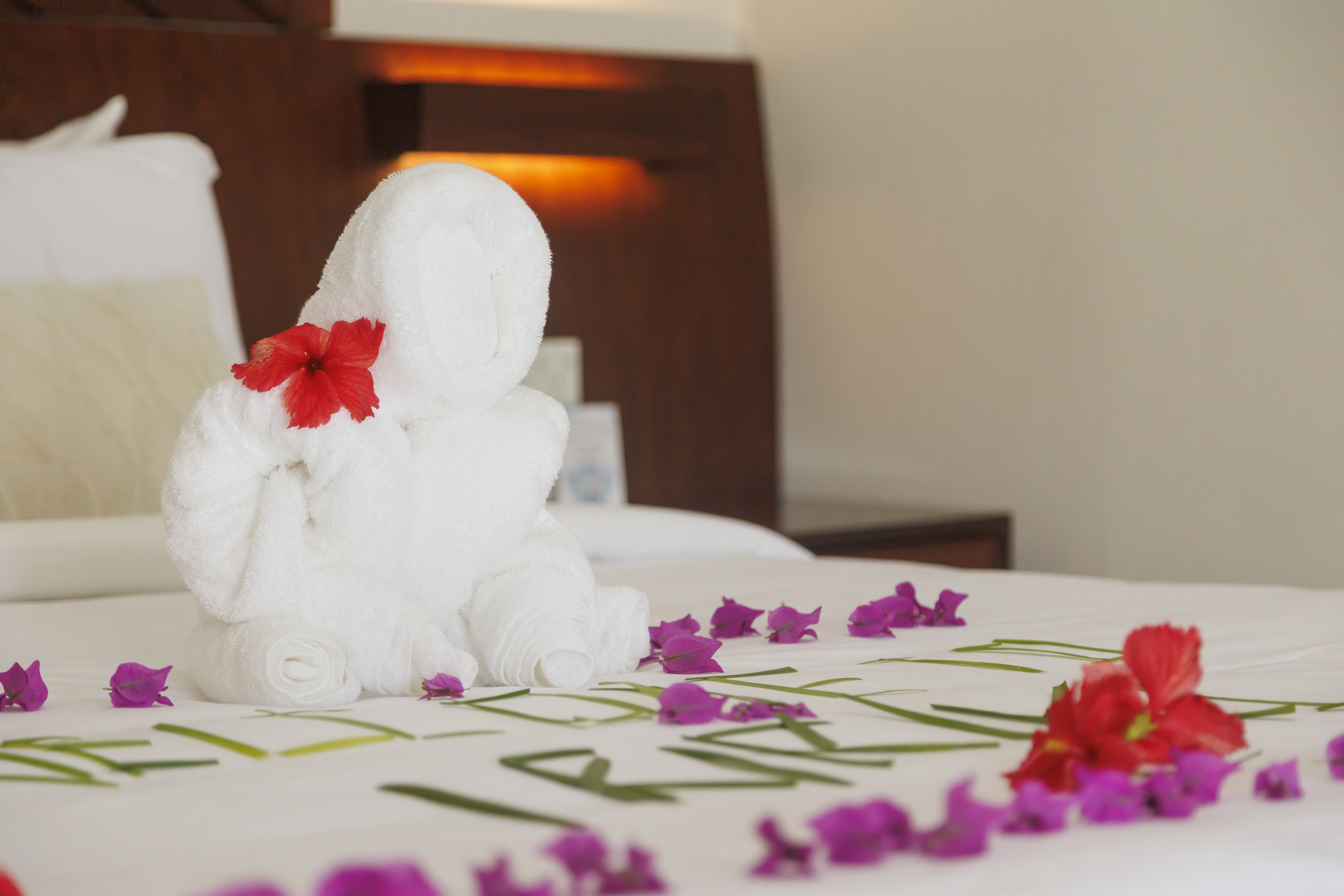 Double Ocean View One Bedroom