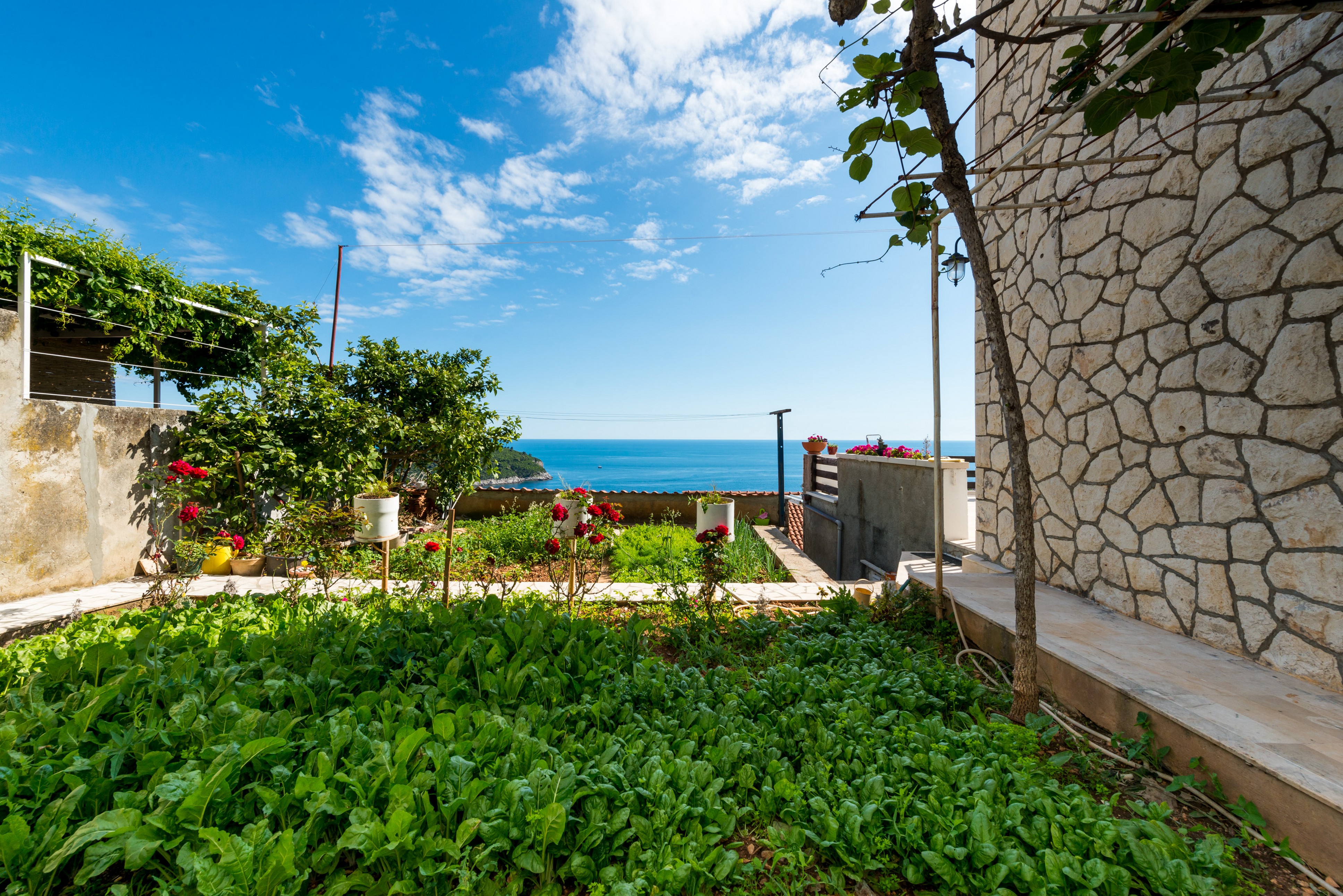 Studio Sea View with Terrace