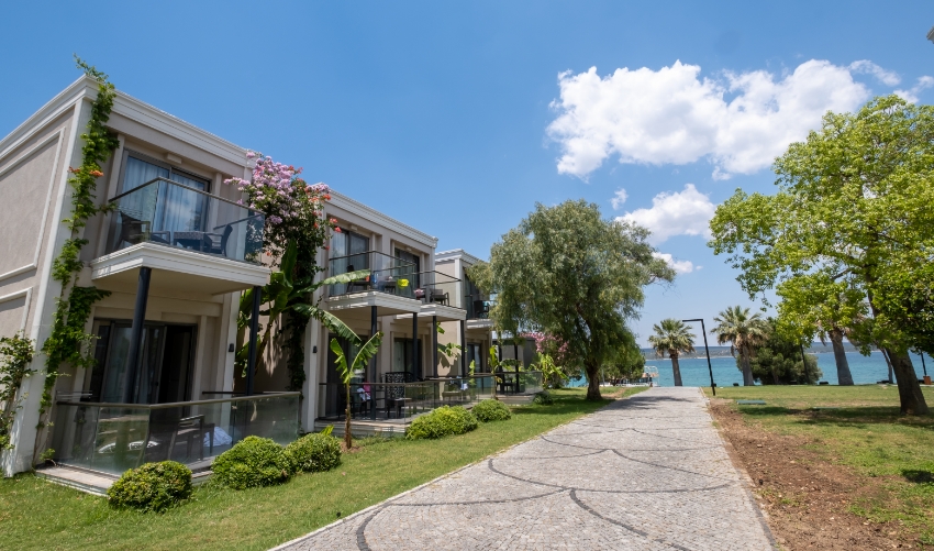 Double Single Standard