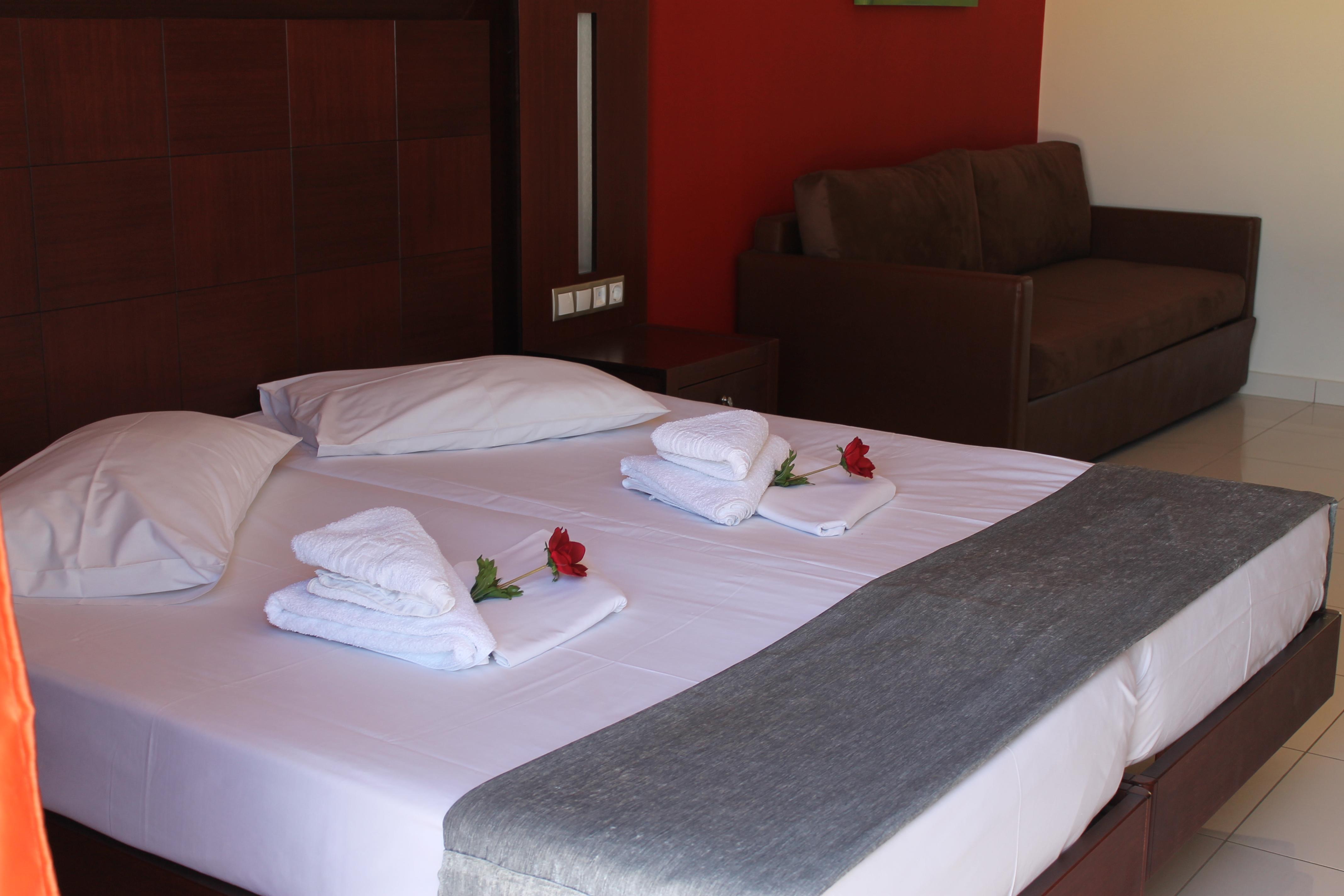 Apartment Capacity 3