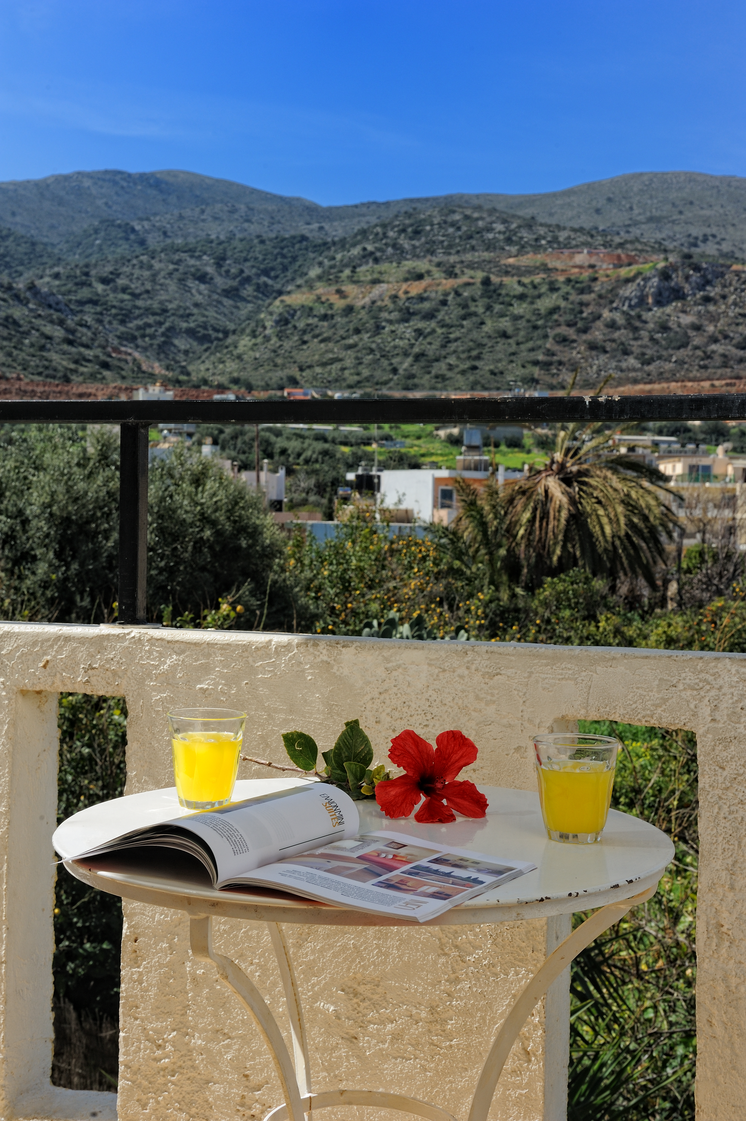 Apartment Capacity 4